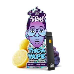 Purple Lemon Haze THCA vape pen, Live Rosin THCA vape, TRĒ House THCA pen, disposable THC-A pen, 2g THCA vape, Delta 8 THC vape, Delta 9 THC vape, THC-P vape, Entourage Effect vape, hybrid strain vape, flavor-rich THCA pen, head buzz vape, body buzz vape, mood elevation vape, smooth THCA vape, pre-filled vape pen, rechargeable THCA pen, fast-acting THCA vape, euphoric THCA vape, terpene-rich vape, cannabis concentrate pen, psychoactive vape, potent THCA pen, premium THCA vape, true-to-strain flavor, Purple Lemon Haze flavor vape, long-lasting vape, hybrid THC pen, THC-A disposable vape, portable THCA pen, pre-charged vape pen, high-potency THCA vape, hybrid vape, aromatic THCA vape, relaxation vape pen, creativity boost vape, munchies vape, mellow high vape, head-to-body buzz, cannabis vape online, vape shipping worldwide, adult-only vape pen, legal hemp vape, pre-filled hybrid pen, premium cannabis vape, flavorful vape pen, smooth vapor THCA, quick-hitting THCA effects, psychoactive hybrid vape, disposable hybrid vape, THC-A cloud vape, terpene vape effects, euphoric hybrid vape, stress relief vape, energizing vape pen, potent Delta 8 pen, potent Delta 9 pen, THCA concentrate pen, premium live rosin pen, high-quality vape, hybrid terpene vape, aromatic hybrid vape, fast delivery vape, TRĒ House Purple Lemon Haze vape, Purple Lemon Haze THCA pen, cannabis vaping experience, adult-use THCA pen, potent hybrid vape, flavorful hybrid pen, smooth hybrid vapor, heady psychoactive vape, rich terpene vapor,