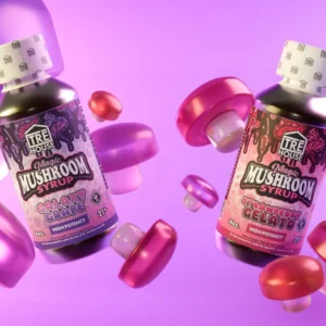 TRĒ House Strawberry Gelato Mushroom Syrup, magic mushroom syrup, mushroom syrup edible, Neurotonin syrup, nootropic mushroom syrup, adaptogenic mushroom syrup, psychotropic mushroom syrup, fruity mushroom syrup, euphoric mushroom syrup, body buzz mushroom syrup, mind-melting mushroom syrup, relaxation mushroom syrup, mushroom syrup dosage, mushroom syrup microdose, mushroom syrup full dose, mushroom syrup effects, mushroom syrup flavor, mushroom syrup for beverages, mushroom syrup first time, TRĒ House mushroom products, legal mushroom syrup, mushroom syrup online, mushroom syrup shop, mushroom syrup premium, mushroom syrup potent, mushroom syrup high quality, mushroom syrup tasty, mushroom syrup smooth, mushroom syrup sweet, mushroom syrup concentrate, mushroom syrup blend, mushroom syrup proprietary, mushroom syrup active compounds, mushroom syrup guide, mushroom syrup recommended dose, mushroom syrup instructions, mushroom syrup fun, mushroom syrup mind trip, mushroom syrup mental clarity, mushroom syrup uplift, mushroom syrup vivid, mushroom syrup safe, mushroom syrup customer favorite, mushroom syrup popular, mushroom syrup trending, mushroom syrup fruity flavor, mushroom syrup berry, mushroom syrup strawberry, mushroom syrup cosmic, mushroom syrup adventure, mushroom syrup trip, mushroom syrup first sip, mushroom syrup taste test, mushroom syrup psychoactive, mushroom syrup easy use, mushroom syrup mixable, mushroom syrup beverages, mushroom syrup flavor explosion, mushroom syrup potent effects, mushroom syrup mind experience, mushroom syrup smooth experience, mushroom syrup vegan, mushroom syrup natural ingredients, mushroom syrup artificial flavor, mushroom syrup citric acid, mushroom syrup erythritol, mushroom syrup mimosa hostilis, mushroom syrup 5-HTP, mushroom syrup polyethylene glycol, mushroom syrup propylene glycol, mushroom syrup sucralose, mushroom syrup sodium benzoate, mushroom syrup high potency, mushroom syrup unique, mushroom syrup sweet berries, mushroom syrup summer fruit, mushroom syrup mind-blowing,