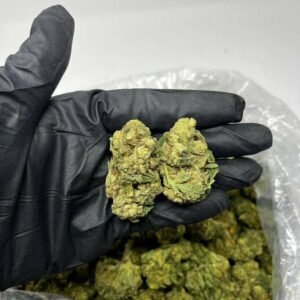 TRĒ House USA premium cannabis flower, TRĒ House USA exotic cannabis strains, TRĒ House USA indoor weed strains, buy cannabis online TRĒ House USA, TRĒ House USA dispensary online USA, TRĒ House USA weed delivery USA, TRĒ House USA discreet cannabis shipping, TRĒ House USA bulk weed deals, TRĒ House USA ounce weed deals, TRĒ House USA pound cannabis deals, TRĒ House USA indica cannabis strains, TRĒ House USA sativa cannabis strains, TRĒ House USA hybrid cannabis strains, TRĒ House USA OG Kush cannabis, TRĒ House USA Gelato cannabis strain, TRĒ House USA Pineapple Express weed, TRĒ House USA Northern Lights strain, TRĒ House USA Sour Diesel strain, TRĒ House USA Gorilla Glue cannabis, TRĒ House USA Diamond OG strain, TRĒ House USA Gas OG cannabis, TRĒ House USA Gary Payton strain, TRĒ House USA Bubblegum cannabis strain, TRĒ House USA Tangerine Dream strain, TRĒ House USA Strawberry Cake strain, TRĒ House USA BlackBerry Gelato strain, TRĒ House USA premium weed buds, TRĒ House USA high potency cannabis, TRĒ House USA top shelf marijuana, TRĒ House USA lab tested weed, TRĒ House USA organic cannabis products, TRĒ House USA THC vape cartridges, TRĒ House USA disposable weed vapes, TRĒ House USA live resin vape carts, TRĒ House USA delta 8 vape cartridges, TRĒ House USA delta 9 THC vapes, TRĒ House USA cannabis vape pens, TRĒ House USA THC gummies, TRĒ House USA cannabis edibles gummies, TRĒ House USA infused edibles, TRĒ House USA THC chocolate edibles, TRĒ House USA cannabis concentrates, TRĒ House USA wax dabs, TRĒ House USA shatter concentrates, TRĒ House USA live resin concentrates, TRĒ House USA rosin cannabis extract, TRĒ House USA CBD products, TRĒ House USA CBD oil tinctures, TRĒ House USA CBD gummies, TRĒ House USA hemp derived THC products, TRĒ House USA cannabis pre rolls, TRĒ House USA infused pre rolls, TRĒ House USA moonrocks cannabis, TRĒ House USA cannabis accessories, TRĒ House USA rolling papers, TRĒ House USA weed grinders, TRĒ House USA glass bongs, TRĒ House USA weed pipes, TRĒ House USA cannabis lifestyle products, TRĒ House USA premium cannabis packaging, TRĒ House USA weed jars packaging, TRĒ House USA cannabis product range, TRĒ House USA online weed shop USA, TRĒ House USA best cannabis online store, TRĒ House USA trusted weed supplier USA, TRĒ House USA affordable cannabis products, TRĒ House USA high quality marijuana USA, TRĒ House USA fast weed shipping USA, TRĒ House USA discreet weed packaging USA, TRĒ House USA cannabis deals online USA, TRĒ House USA buy THC products online USA, Bubblegum strain TRĒ House premium cannabis flower, buy Bubblegum strain online TRĒ House, TRĒ House Bubblegum weed strain for sale, premium hybrid cannabis Bubblegum TRĒ House, Bubblegum cannabis flower high quality TRĒ House, order Bubblegum weed online TRĒ House, Bubblegum strain top cannabis product TRĒ House, buy premium weed strain Bubblegum TRĒ House, Bubblegum cannabis buds close up TRĒ House, Bubblegum hybrid weed strain online TRĒ House, best Bubblegum strain to buy TRĒ House, Bubblegum strain online cannabis shop TRĒ House, Bubblegum premium weed flower TRĒ House, buy hybrid cannabis Bubblegum online TRĒ House, Bubblegum strain for sale online TRĒ House, Bubblegum cannabis product listing TRĒ House, Bubblegum strain high demand weed TRĒ House, Bubblegum premium cannabis selection TRĒ House, Bubblegum strain ecommerce product TRĒ House, Bubblegum cannabis flower for buyers TRĒ House, Bubblegum strain top weed strain online TRĒ House, Bubblegum hybrid cannabis product page TRĒ House, Bubblegum cannabis strain shop online TRĒ House, Bubblegum weed strain popular choice TRĒ House, Bubblegum premium weed strain for sale TRĒ House, Bubblegum cannabis buds detailed view TRĒ House, Bubblegum hybrid strain buy online TRĒ House, Bubblegum weed strain product image TRĒ House, Bubblegum cannabis strain listing online TRĒ House, Bubblegum premium cannabis flower shop TRĒ House, Bubblegum strain trusted weed product TRĒ House, Bubblegum cannabis flower high demand TRĒ House, Bubblegum hybrid weed strain premium TRĒ House, Bubblegum cannabis strain buy now TRĒ House, Bubblegum weed strain ecommerce listing TRĒ House, Bubblegum premium cannabis buds online TRĒ House, Bubblegum hybrid cannabis strain top rated TRĒ House, Bubblegum cannabis flower online store TRĒ House, Bubblegum weed strain product showcase TRĒ House, Bubblegum cannabis strain best seller TRĒ House, Bubblegum premium weed online shop TRĒ House, Bubblegum hybrid cannabis buds for sale TRĒ House, Bubblegum cannabis strain order online TRĒ House, Bubblegum weed strain top demand product TRĒ House, Bubblegum premium cannabis flower listing TRĒ House, Bubblegum hybrid strain popular weed TRĒ House, Bubblegum cannabis buds online purchase TRĒ House, Bubblegum weed strain high quality flower TRĒ House, Bubblegum cannabis product premium listing TRĒ House, Bubblegum hybrid weed strain best seller TRĒ House, Bubblegum cannabis flower shop online TRĒ House, Bubblegum premium weed strain ecommerce TRĒ House, Bubblegum cannabis strain product display TRĒ House, Bubblegum hybrid weed strain for buyers TRĒ House, Bubblegum cannabis buds premium quality TRĒ House, Bubblegum strain cannabis online store TRĒ House, Bubblegum weed strain product catalog TRĒ House, Bubblegum cannabis strain purchase online TRĒ House, Bubblegum premium hybrid weed strain TRĒ House, Bubblegum cannabis flower top selection TRĒ House, Bubblegum weed strain strong demand TRĒ House, Bubblegum cannabis product online shop TRĒ House, Bubblegum hybrid cannabis strain listing TRĒ House, Bubblegum weed strain premium product page TRĒ House, Bubblegum cannabis buds online shop TRĒ House, Bubblegum strain high quality cannabis TRĒ House, Bubblegum weed strain online purchase TRĒ House, Bubblegum cannabis flower product image TRĒ House, Bubblegum premium cannabis strain listing TRĒ House, Bubblegum hybrid weed strain top choice TRĒ House, Bubblegum cannabis buds ecommerce store TRĒ House, Bubblegum weed strain trusted product TRĒ House, Bubblegum cannabis strain premium quality TRĒ House, Bubblegum hybrid weed strain online store TRĒ House,