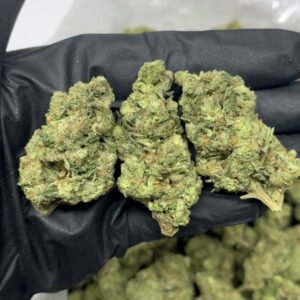 TRĒ House USA premium cannabis flower, TRĒ House USA exotic cannabis strains, TRĒ House USA indoor weed strains, buy cannabis online TRĒ House USA, TRĒ House USA dispensary online USA, TRĒ House USA weed delivery USA, TRĒ House USA discreet cannabis shipping, TRĒ House USA bulk weed deals, TRĒ House USA ounce weed deals, TRĒ House USA pound cannabis deals, TRĒ House USA indica cannabis strains, TRĒ House USA sativa cannabis strains, TRĒ House USA hybrid cannabis strains, TRĒ House USA OG Kush cannabis, TRĒ House USA Gelato cannabis strain, TRĒ House USA Pineapple Express weed, TRĒ House USA Northern Lights strain, TRĒ House USA Sour Diesel strain, TRĒ House USA Gorilla Glue cannabis, TRĒ House USA Diamond OG strain, TRĒ House USA Gas OG cannabis, TRĒ House USA Gary Payton strain, TRĒ House USA Bubblegum cannabis strain, TRĒ House USA Tangerine Dream strain, TRĒ House USA Strawberry Cake strain, TRĒ House USA BlackBerry Gelato strain, TRĒ House USA premium weed buds, TRĒ House USA high potency cannabis, TRĒ House USA top shelf marijuana, TRĒ House USA lab tested weed, TRĒ House USA organic cannabis products, TRĒ House USA THC vape cartridges, TRĒ House USA disposable weed vapes, TRĒ House USA live resin vape carts, TRĒ House USA delta 8 vape cartridges, TRĒ House USA delta 9 THC vapes, TRĒ House USA cannabis vape pens, TRĒ House USA THC gummies, TRĒ House USA cannabis edibles gummies, TRĒ House USA infused edibles, TRĒ House USA THC chocolate edibles, TRĒ House USA cannabis concentrates, TRĒ House USA wax dabs, TRĒ House USA shatter concentrates, TRĒ House USA live resin concentrates, TRĒ House USA rosin cannabis extract, TRĒ House USA CBD products, TRĒ House USA CBD oil tinctures, TRĒ House USA CBD gummies, TRĒ House USA hemp derived THC products, TRĒ House USA cannabis pre rolls, TRĒ House USA infused pre rolls, TRĒ House USA moonrocks cannabis, TRĒ House USA cannabis accessories, TRĒ House USA rolling papers, TRĒ House USA weed grinders, TRĒ House USA glass bongs, TRĒ House USA weed pipes, TRĒ House USA cannabis lifestyle products, TRĒ House USA premium cannabis packaging, TRĒ House USA weed jars packaging, TRĒ House USA cannabis product range, TRĒ House USA online weed shop USA, TRĒ House USA best cannabis online store, TRĒ House USA trusted weed supplier USA, TRĒ House USA affordable cannabis products, TRĒ House USA high quality marijuana USA, TRĒ House USA fast weed shipping USA, TRĒ House USA discreet weed packaging USA, TRĒ House USA cannabis deals online USA, TRĒ House USA buy THC products online USA, Gas OG strain TRĒ House premium cannabis flower, buy Gas OG strain online TRĒ House, TRĒ House Gas OG weed strain for sale, premium indica cannabis Gas OG TRĒ House, Gas OG cannabis flower high quality TRĒ House, order Gas OG weed online TRĒ House, Gas OG strain top cannabis product TRĒ House, buy premium weed strain Gas OG TRĒ House, Gas OG cannabis buds close up TRĒ House, Gas OG indica weed strain online TRĒ House, best Gas OG strain to buy TRĒ House, Gas OG strain online cannabis shop TRĒ House, Gas OG premium weed flower TRĒ House, buy indica cannabis Gas OG online TRĒ House, Gas OG strain for sale online TRĒ House, Gas OG cannabis product listing TRĒ House, Gas OG strain high demand weed TRĒ House, Gas OG premium cannabis selection TRĒ House, Gas OG strain ecommerce product TRĒ House, Gas OG cannabis flower for buyers TRĒ House, Gas OG strain top weed strain online TRĒ House, Gas OG indica cannabis product page TRĒ House, Gas OG cannabis strain shop online TRĒ House, Gas OG weed strain popular choice TRĒ House, Gas OG premium weed strain for sale TRĒ House, Gas OG cannabis buds detailed view TRĒ House, Gas OG indica strain buy online TRĒ House, Gas OG weed strain product image TRĒ House, Gas OG cannabis strain listing online TRĒ House, Gas OG premium cannabis flower shop TRĒ House, Gas OG strain trusted weed product TRĒ House, Gas OG cannabis flower high demand TRĒ House, Gas OG indica weed strain premium TRĒ House, Gas OG cannabis strain buy now TRĒ House, Gas OG weed strain ecommerce listing TRĒ House, Gas OG premium cannabis buds online TRĒ House, Gas OG indica cannabis strain top rated TRĒ House, Gas OG cannabis flower online store TRĒ House, Gas OG weed strain product showcase TRĒ House, Gas OG cannabis strain best seller TRĒ House, Gas OG premium weed online shop TRĒ House, Gas OG indica cannabis buds for sale TRĒ House, Gas OG cannabis strain order online TRĒ House, Gas OG weed strain top demand product TRĒ House, Gas OG premium cannabis flower listing TRĒ House, Gas OG indica strain popular weed TRĒ House, Gas OG cannabis buds online purchase TRĒ House, Gas OG weed strain high quality flower TRĒ House, Gas OG cannabis product premium listing TRĒ House, Gas OG indica weed strain best seller TRĒ House, Gas OG cannabis flower shop online TRĒ House, Gas OG premium weed strain ecommerce TRĒ House, Gas OG cannabis strain product display TRĒ House, Gas OG indica weed strain for buyers TRĒ House, Gas OG cannabis buds premium quality TRĒ House, Gas OG strain cannabis online store TRĒ House, Gas OG weed strain product catalog TRĒ House, Gas OG cannabis strain purchase online TRĒ House, Gas OG premium indica weed strain TRĒ House, Gas OG cannabis flower top selection TRĒ House, Gas OG weed strain strong demand TRĒ House, Gas OG cannabis product online shop TRĒ House, Gas OG indica cannabis strain listing TRĒ House, Gas OG weed strain premium product page TRĒ House, Gas OG cannabis buds online shop TRĒ House, Gas OG strain high quality cannabis TRĒ House, Gas OG weed strain online purchase TRĒ House, Gas OG cannabis flower product image TRĒ House, Gas OG premium cannabis strain listing TRĒ House, Gas OG indica weed strain top choice TRĒ House, Gas OG cannabis buds ecommerce store TRĒ House, Gas OG weed strain trusted product TRĒ House, Gas OG cannabis strain premium quality TRĒ House, Gas OG indica weed strain online store TRĒ House,