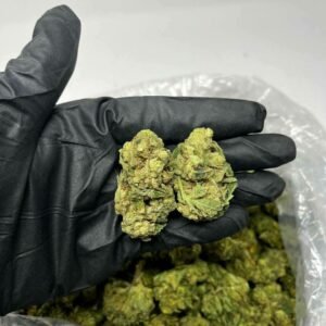 Gorilla Glue strain TRĒ House premium cannabis flower, buy Gorilla Glue strain online TRĒ House, TRĒ House Gorilla Glue weed strain for sale, premium hybrid cannabis Gorilla Glue TRĒ House, Gorilla Glue cannabis flower high quality TRĒ House, order Gorilla Glue weed online TRĒ House, Gorilla Glue strain top cannabis product TRĒ House, buy premium weed strain Gorilla Glue TRĒ House, Gorilla Glue cannabis buds close up TRĒ House, Gorilla Glue hybrid weed strain online TRĒ House, best Gorilla Glue strain to buy TRĒ House, Gorilla Glue strain online cannabis shop TRĒ House, Gorilla Glue premium weed flower TRĒ House, buy hybrid cannabis Gorilla Glue online TRĒ House, Gorilla Glue strain for sale online TRĒ House, Gorilla Glue cannabis product listing TRĒ House, Gorilla Glue strain high demand weed TRĒ House, Gorilla Glue premium cannabis selection TRĒ House, Gorilla Glue strain ecommerce product TRĒ House, Gorilla Glue cannabis flower for buyers TRĒ House, Gorilla Glue strain top weed strain online TRĒ House, Gorilla Glue hybrid cannabis product page TRĒ House, Gorilla Glue cannabis strain shop online TRĒ House, Gorilla Glue weed strain popular choice TRĒ House, Gorilla Glue premium weed strain for sale TRĒ House, Gorilla Glue cannabis buds detailed view TRĒ House, Gorilla Glue hybrid strain buy online TRĒ House, Gorilla Glue weed strain product image TRĒ House, Gorilla Glue cannabis strain listing online TRĒ House, Gorilla Glue premium cannabis flower shop TRĒ House, Gorilla Glue strain trusted weed product TRĒ House, Gorilla Glue cannabis flower high demand TRĒ House, Gorilla Glue hybrid weed strain premium TRĒ House, Gorilla Glue cannabis strain buy now TRĒ House, Gorilla Glue weed strain ecommerce listing TRĒ House, Gorilla Glue premium cannabis buds online TRĒ House, Gorilla Glue hybrid cannabis strain top rated TRĒ House, Gorilla Glue cannabis flower online store TRĒ House, Gorilla Glue weed strain product showcase TRĒ House, Gorilla Glue cannabis strain best seller TRĒ House, Gorilla Glue premium weed online shop TRĒ House, Gorilla Glue hybrid cannabis buds for sale TRĒ House, Gorilla Glue cannabis strain order online TRĒ House, Gorilla Glue weed strain top demand product TRĒ House, Gorilla Glue premium cannabis flower listing TRĒ House, Gorilla Glue hybrid strain popular weed TRĒ House, Gorilla Glue cannabis buds online purchase TRĒ House, Gorilla Glue weed strain high quality flower TRĒ House, Gorilla Glue cannabis product premium listing TRĒ House, Gorilla Glue hybrid weed strain best seller TRĒ House, Gorilla Glue cannabis flower shop online TRĒ House, Gorilla Glue premium weed strain ecommerce TRĒ House, Gorilla Glue cannabis strain product display TRĒ House, Gorilla Glue hybrid weed strain for buyers TRĒ House, Gorilla Glue cannabis buds premium quality TRĒ House, Gorilla Glue strain cannabis online store TRĒ House, Gorilla Glue weed strain product catalog TRĒ House, Gorilla Glue cannabis strain purchase online TRĒ House, Gorilla Glue premium hybrid weed strain TRĒ House, Gorilla Glue cannabis flower top selection TRĒ House, Gorilla Glue weed strain strong demand TRĒ House, Gorilla Glue cannabis product online shop TRĒ House, Gorilla Glue hybrid cannabis strain listing TRĒ House, Gorilla Glue weed strain premium product page TRĒ House, Gorilla Glue cannabis buds online shop TRĒ House, Gorilla Glue strain high quality cannabis TRĒ House, Gorilla Glue weed strain online purchase TRĒ House, Gorilla Glue cannabis flower product image TRĒ House, Gorilla Glue premium cannabis strain listing TRĒ House, Gorilla Glue hybrid weed strain top choice TRĒ House, Gorilla Glue cannabis buds ecommerce store TRĒ House, Gorilla Glue weed strain trusted product TRĒ House, Gorilla Glue cannabis strain premium quality TRĒ House, Gorilla Glue hybrid weed strain online store TRĒ House, buy cannabis strains online, weed strains for sale online, premium cannabis strains TRĒ House, indica cannabis strains menu, sativa cannabis strains selection, hybrid cannabis strains collection, buy indica weed online, buy sativa weed online, buy hybrid cannabis strains online, best cannabis strains online, top weed strains for sale, TRĒ House cannabis menu, cannabis flower strains online, high quality weed strains, popular cannabis strains online, Northern Lights cannabis strain, Gelato Cake weed strain, GMO Cookies cannabis strain, Skywalker OG weed strain, White Tahoe Cookies strain, 9lb Hammer cannabis strain, Wedding Cake weed strain, Granddaddy Purp cannabis strain, Hindu Kush weed strain, Critical Kush cannabis strain, Pineapple Express weed strain, Purple Haze cannabis strain, Jack Herer weed strain, Durban Poison cannabis strain, Strawberry Cough weed strain, Sour Diesel cannabis strain, Green Crack weed strain, Super Silver Haze cannabis strain, Amnesia Haze weed strain, Lemon Haze cannabis strain, Trainwreck weed strain, Tangerine Dream cannabis strain, Runtz cannabis strain, Candyland weed strain, Gorilla Glue cannabis strain, Cherry Pie weed strain, Oreoz cannabis strain, Sundae Driver weed strain, Slurricane cannabis strain, Gushers cannabis strain, Mimosa cannabis strain, Skunk #1 weed strain, Permanent Marker cannabis strain, Bruce Banner #3 weed strain, Blue Gelato 41 cannabis strain, White Widow weed strain, OG Kush cannabis strain, Chiquita Banana weed strain, Orange Sherbet cannabis strain, premium weed menu online, buy weed strains online TRĒ House, cannabis products for sale online, shop cannabis strains online, best indica strains online, best sativa strains online, best hybrid cannabis strains online, top cannabis products online, high demand weed strains, buy cannabis flower online, cannabis strains collection TRĒ House, legal cannabis products online, trusted cannabis store online, cannabis strain variety online, buy premium weed online, cannabis strains marketplace, weed strains catalog online, buy top weed strains online, online cannabis shop TRĒ House, cannabis strains selection online, premium cannabis flower selection, buy cannabis products TRĒ House, best weed strains for beginners, high quality cannabis flower online, cannabis strains ecommerce store,