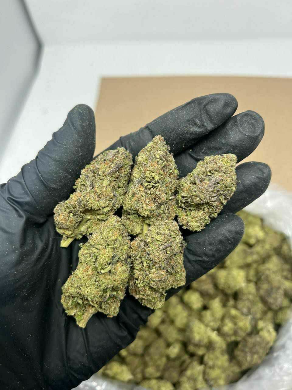 buy cannabis strains online, weed strains for sale online, premium cannabis strains TRĒ House, indica cannabis strains menu, sativa cannabis strains selection, hybrid cannabis strains collection, buy indica weed online, buy sativa weed online, buy hybrid cannabis strains online, best cannabis strains online, top weed strains for sale, TRĒ House cannabis menu, cannabis flower strains online, high quality weed strains, popular cannabis strains online, Northern Lights cannabis strain, Gelato Cake weed strain, GMO Cookies cannabis strain, Skywalker OG weed strain, White Tahoe Cookies strain, 9lb Hammer cannabis strain, Wedding Cake weed strain, Granddaddy Purp cannabis strain, Hindu Kush weed strain, Critical Kush cannabis strain, Pineapple Express weed strain, Purple Haze cannabis strain, Jack Herer weed strain, Durban Poison cannabis strain, Strawberry Cough weed strain, Sour Diesel cannabis strain, Green Crack weed strain, Super Silver Haze cannabis strain, Amnesia Haze weed strain, Lemon Haze cannabis strain, Trainwreck weed strain, Tangerine Dream cannabis strain, Runtz cannabis strain, Candyland weed strain, Gorilla Glue cannabis strain, Cherry Pie weed strain, Oreoz cannabis strain, Sundae Driver weed strain, Slurricane cannabis strain, Gushers cannabis strain, Mimosa cannabis strain, Skunk #1 weed strain, Permanent Marker cannabis strain, Bruce Banner #3 weed strain, Blue Gelato 41 cannabis strain, White Widow weed strain, OG Kush cannabis strain, Chiquita Banana weed strain, Orange Sherbet cannabis strain, premium weed menu online, buy weed strains online TRĒ House, cannabis products for sale online, shop cannabis strains online, best indica strains online, best sativa strains online, best hybrid cannabis strains online, top cannabis products online, high demand weed strains, buy cannabis flower online, cannabis strains collection TRĒ House, legal cannabis products online, trusted cannabis store online, cannabis strain variety online, buy premium weed online, cannabis strains marketplace, weed strains catalog online, buy top weed strains online, online cannabis shop TRĒ House, cannabis strains selection online, premium cannabis flower selection, buy cannabis products TRĒ House, best weed strains for beginners, high quality cannabis flower online, cannabis strains ecommerce store,