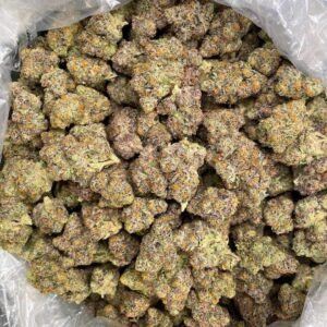 Lemon Haze strain TRĒ House premium cannabis flower, buy Lemon Haze strain online TRĒ House, TRĒ House Lemon Haze weed strain for sale, premium sativa cannabis Lemon Haze TRĒ House, Lemon Haze cannabis flower high quality TRĒ House, order Lemon Haze weed online TRĒ House, Lemon Haze strain top cannabis product TRĒ House, buy premium weed strain Lemon Haze TRĒ House, Lemon Haze cannabis buds close up TRĒ House, Lemon Haze sativa weed strain online TRĒ House, best Lemon Haze strain to buy TRĒ House, Lemon Haze strain online cannabis shop TRĒ House, Lemon Haze premium weed flower TRĒ House, buy sativa cannabis Lemon Haze online TRĒ House, Lemon Haze strain for sale online TRĒ House, Lemon Haze cannabis product listing TRĒ House, Lemon Haze strain high demand weed TRĒ House, Lemon Haze premium cannabis selection TRĒ House, Lemon Haze strain ecommerce product TRĒ House, Lemon Haze cannabis flower for buyers TRĒ House, Lemon Haze strain top weed strain online TRĒ House, Lemon Haze sativa cannabis product page TRĒ House, Lemon Haze cannabis strain shop online TRĒ House, Lemon Haze weed strain popular choice TRĒ House, Lemon Haze premium weed strain for sale TRĒ House, Lemon Haze cannabis buds detailed view TRĒ House, Lemon Haze sativa strain buy online TRĒ House, Lemon Haze weed strain product image TRĒ House, Lemon Haze cannabis strain listing online TRĒ House, Lemon Haze premium cannabis flower shop TRĒ House, Lemon Haze strain trusted weed product TRĒ House, Lemon Haze cannabis flower high demand TRĒ House, Lemon Haze sativa weed strain premium TRĒ House, Lemon Haze cannabis strain buy now TRĒ House, Lemon Haze weed strain ecommerce listing TRĒ House, Lemon Haze premium cannabis buds online TRĒ House, Lemon Haze sativa cannabis strain top rated TRĒ House, Lemon Haze cannabis flower online store TRĒ House, Lemon Haze weed strain product showcase TRĒ House, Lemon Haze cannabis strain best seller TRĒ House, Lemon Haze premium weed online shop TRĒ House, Lemon Haze sativa cannabis buds for sale TRĒ House, Lemon Haze cannabis strain order online TRĒ House, Lemon Haze weed strain top demand product TRĒ House, Lemon Haze premium cannabis flower listing TRĒ House, Lemon Haze sativa strain popular weed TRĒ House, Lemon Haze cannabis buds online purchase TRĒ House, Lemon Haze weed strain high quality flower TRĒ House, Lemon Haze cannabis product premium listing TRĒ House, Lemon Haze sativa weed strain best seller TRĒ House, Lemon Haze cannabis flower shop online TRĒ House, Lemon Haze premium weed strain ecommerce TRĒ House, Lemon Haze cannabis strain product display TRĒ House, Lemon Haze sativa weed strain for buyers TRĒ House, Lemon Haze cannabis buds premium quality TRĒ House, Lemon Haze strain cannabis online store TRĒ House, Lemon Haze weed strain product catalog TRĒ House, Lemon Haze cannabis strain purchase online TRĒ House, Lemon Haze premium sativa weed strain TRĒ House, Lemon Haze cannabis flower top selection TRĒ House, Lemon Haze weed strain strong demand TRĒ House, Lemon Haze cannabis product online shop TRĒ House, Lemon Haze sativa cannabis strain listing TRĒ House, Lemon Haze weed strain premium product page TRĒ House, Lemon Haze cannabis buds online shop TRĒ House, Lemon Haze strain high quality cannabis TRĒ House, Lemon Haze weed strain online purchase TRĒ House, Lemon Haze cannabis flower product image TRĒ House, Lemon Haze premium cannabis strain listing TRĒ House, Lemon Haze sativa weed strain top choice TRĒ House, Lemon Haze cannabis buds ecommerce store TRĒ House, Lemon Haze weed strain trusted product TRĒ House, Lemon Haze cannabis strain premium quality TRĒ House, Lemon Haze sativa weed strain online store TRĒ House, buy cannabis strains online, weed strains for sale online, premium cannabis strains TRĒ House, indica cannabis strains menu, sativa cannabis strains selection, hybrid cannabis strains collection, buy indica weed online, buy sativa weed online, buy hybrid cannabis strains online, best cannabis strains online, top weed strains for sale, TRĒ House cannabis menu, cannabis flower strains online, high quality weed strains, popular cannabis strains online, Northern Lights cannabis strain, Gelato Cake weed strain, GMO Cookies cannabis strain, Skywalker OG weed strain, White Tahoe Cookies strain, 9lb Hammer cannabis strain, Wedding Cake weed strain, Granddaddy Purp cannabis strain, Hindu Kush weed strain, Critical Kush cannabis strain, Pineapple Express weed strain, Purple Haze cannabis strain, Jack Herer weed strain, Durban Poison cannabis strain, Strawberry Cough weed strain, Sour Diesel cannabis strain, Green Crack weed strain, Super Silver Haze cannabis strain, Amnesia Haze weed strain, Lemon Haze cannabis strain, Trainwreck weed strain, Tangerine Dream cannabis strain, Runtz cannabis strain, Candyland weed strain, Gorilla Glue cannabis strain, Cherry Pie weed strain, Oreoz cannabis strain, Sundae Driver weed strain, Slurricane cannabis strain, Gushers cannabis strain, Mimosa cannabis strain, Skunk #1 weed strain, Permanent Marker cannabis strain, Bruce Banner #3 weed strain, Blue Gelato 41 cannabis strain, White Widow weed strain, OG Kush cannabis strain, Chiquita Banana weed strain, Orange Sherbet cannabis strain, premium weed menu online, buy weed strains online TRĒ House, cannabis products for sale online, shop cannabis strains online, best indica strains online, best sativa strains online, best hybrid cannabis strains online, top cannabis products online, high demand weed strains, buy cannabis flower online, cannabis strains collection TRĒ House, legal cannabis products online, trusted cannabis store online, cannabis strain variety online, buy premium weed online, cannabis strains marketplace, weed strains catalog online, buy top weed strains online, online cannabis shop TRĒ House, cannabis strains selection online, premium cannabis flower selection, buy cannabis products TRĒ House, best weed strains for beginners, high quality cannabis flower online, cannabis strains ecommerce store,