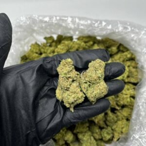 TRĒ House USA premium cannabis flower, TRĒ House USA exotic cannabis strains, TRĒ House USA indoor weed strains, buy cannabis online TRĒ House USA, TRĒ House USA dispensary online USA, TRĒ House USA weed delivery USA, TRĒ House USA discreet cannabis shipping, TRĒ House USA bulk weed deals, TRĒ House USA ounce weed deals, TRĒ House USA pound cannabis deals, TRĒ House USA indica cannabis strains, TRĒ House USA sativa cannabis strains, TRĒ House USA hybrid cannabis strains, TRĒ House USA OG Kush cannabis, TRĒ House USA Gelato cannabis strain, TRĒ House USA Pineapple Express weed, TRĒ House USA Northern Lights strain, TRĒ House USA Sour Diesel strain, TRĒ House USA Gorilla Glue cannabis, TRĒ House USA Diamond OG strain, TRĒ House USA Gas OG cannabis, TRĒ House USA Gary Payton strain, TRĒ House USA Bubblegum cannabis strain, TRĒ House USA Tangerine Dream strain, TRĒ House USA Strawberry Cake strain, TRĒ House USA BlackBerry Gelato strain, TRĒ House USA premium weed buds, TRĒ House USA high potency cannabis, TRĒ House USA top shelf marijuana, TRĒ House USA lab tested weed, TRĒ House USA organic cannabis products, TRĒ House USA THC vape cartridges, TRĒ House USA disposable weed vapes, TRĒ House USA live resin vape carts, TRĒ House USA delta 8 vape cartridges, TRĒ House USA delta 9 THC vapes, TRĒ House USA cannabis vape pens, TRĒ House USA THC gummies, TRĒ House USA cannabis edibles gummies, TRĒ House USA infused edibles, TRĒ House USA THC chocolate edibles, TRĒ House USA cannabis concentrates, TRĒ House USA wax dabs, TRĒ House USA shatter concentrates, TRĒ House USA live resin concentrates, TRĒ House USA rosin cannabis extract, TRĒ House USA CBD products, TRĒ House USA CBD oil tinctures, TRĒ House USA CBD gummies, TRĒ House USA hemp derived THC products, TRĒ House USA cannabis pre rolls, TRĒ House USA infused pre rolls, TRĒ House USA moonrocks cannabis, TRĒ House USA cannabis accessories, TRĒ House USA rolling papers, TRĒ House USA weed grinders, TRĒ House USA glass bongs, TRĒ House USA weed pipes, TRĒ House USA cannabis lifestyle products, TRĒ House USA premium cannabis packaging, TRĒ House USA weed jars packaging, TRĒ House USA cannabis product range, TRĒ House USA online weed shop USA, TRĒ House USA best cannabis online store, TRĒ House USA trusted weed supplier USA, TRĒ House USA affordable cannabis products, TRĒ House USA high quality marijuana USA, TRĒ House USA fast weed shipping USA, TRĒ House USA discreet weed packaging USA, TRĒ House USA cannabis deals online USA, TRĒ House USA buy THC products online USA, Pineapple Kush strain TRĒ House premium cannabis flower, buy Pineapple Kush strain online TRĒ House, TRĒ House Pineapple Kush weed strain for sale, premium indica cannabis Pineapple Kush TRĒ House, Pineapple Kush cannabis flower high quality TRĒ House, order Pineapple Kush weed online TRĒ House, Pineapple Kush strain top cannabis product TRĒ House, buy premium weed strain Pineapple Kush TRĒ House, Pineapple Kush cannabis buds close up TRĒ House, Pineapple Kush indica weed strain online TRĒ House, best Pineapple Kush strain to buy TRĒ House, Pineapple Kush strain online cannabis shop TRĒ House, Pineapple Kush premium weed flower TRĒ House, buy indica cannabis Pineapple Kush online TRĒ House, Pineapple Kush strain for sale online TRĒ House, Pineapple Kush cannabis product listing TRĒ House, Pineapple Kush strain high demand weed TRĒ House, Pineapple Kush premium cannabis selection TRĒ House, Pineapple Kush strain ecommerce product TRĒ House, Pineapple Kush cannabis flower for buyers TRĒ House, Pineapple Kush strain top weed strain online TRĒ House, Pineapple Kush indica cannabis product page TRĒ House, Pineapple Kush cannabis strain shop online TRĒ House, Pineapple Kush weed strain popular choice TRĒ House, Pineapple Kush premium weed strain for sale TRĒ House, Pineapple Kush cannabis buds detailed view TRĒ House, Pineapple Kush indica strain buy online TRĒ House, Pineapple Kush weed strain product image TRĒ House, Pineapple Kush cannabis strain listing online TRĒ House, Pineapple Kush premium cannabis flower shop TRĒ House, Pineapple Kush strain trusted weed product TRĒ House, Pineapple Kush cannabis flower high demand TRĒ House, Pineapple Kush indica weed strain premium TRĒ House, Pineapple Kush cannabis strain buy now TRĒ House, Pineapple Kush weed strain ecommerce listing TRĒ House, Pineapple Kush premium cannabis buds online TRĒ House, Pineapple Kush indica cannabis strain top rated TRĒ House, Pineapple Kush cannabis flower online store TRĒ House, Pineapple Kush weed strain product showcase TRĒ House, Pineapple Kush cannabis strain best seller TRĒ House, Pineapple Kush premium weed online shop TRĒ House, Pineapple Kush indica cannabis buds for sale TRĒ House, Pineapple Kush cannabis strain order online TRĒ House, Pineapple Kush weed strain top demand product TRĒ House, Pineapple Kush premium cannabis flower listing TRĒ House, Pineapple Kush indica strain popular weed TRĒ House, Pineapple Kush cannabis buds online purchase TRĒ House, Pineapple Kush weed strain high quality flower TRĒ House, Pineapple Kush cannabis product premium listing TRĒ House, Pineapple Kush indica weed strain best seller TRĒ House, Pineapple Kush cannabis flower shop online TRĒ House, Pineapple Kush premium weed strain ecommerce TRĒ House, Pineapple Kush cannabis strain product display TRĒ House, Pineapple Kush indica weed strain for buyers TRĒ House, Pineapple Kush cannabis buds premium quality TRĒ House, Pineapple Kush strain cannabis online store TRĒ House, Pineapple Kush weed strain product catalog TRĒ House, Pineapple Kush cannabis strain purchase online TRĒ House, Pineapple Kush premium indica weed strain TRĒ House, Pineapple Kush cannabis flower top selection TRĒ House, Pineapple Kush weed strain strong demand TRĒ House, Pineapple Kush cannabis product online shop TRĒ House, Pineapple Kush indica cannabis strain listing TRĒ House, Pineapple Kush weed strain premium product page TRĒ House, Pineapple Kush cannabis buds online shop TRĒ House, Pineapple Kush strain high quality cannabis TRĒ House, Pineapple Kush weed strain online purchase TRĒ House, Pineapple Kush cannabis flower product image TRĒ House, Pineapple Kush premium cannabis strain listing TRĒ House, Pineapple Kush indica weed strain top choice TRĒ House, Pineapple Kush cannabis buds ecommerce store TRĒ House, Pineapple Kush weed strain trusted product TRĒ House, Pineapple Kush cannabis strain premium quality TRĒ House, Pineapple Kush indica weed strain online store TRĒ House,