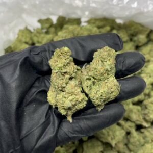 TRĒ House USA premium cannabis flower, TRĒ House USA exotic cannabis strains, TRĒ House USA indoor weed strains, buy cannabis online TRĒ House USA, TRĒ House USA dispensary online USA, TRĒ House USA weed delivery USA, TRĒ House USA discreet cannabis shipping, TRĒ House USA bulk weed deals, TRĒ House USA ounce weed deals, TRĒ House USA pound cannabis deals, TRĒ House USA indica cannabis strains, TRĒ House USA sativa cannabis strains, TRĒ House USA hybrid cannabis strains, TRĒ House USA OG Kush cannabis, TRĒ House USA Gelato cannabis strain, TRĒ House USA Pineapple Express weed, TRĒ House USA Northern Lights strain, TRĒ House USA Sour Diesel strain, TRĒ House USA Gorilla Glue cannabis, TRĒ House USA Diamond OG strain, TRĒ House USA Gas OG cannabis, TRĒ House USA Gary Payton strain, TRĒ House USA Bubblegum cannabis strain, TRĒ House USA Tangerine Dream strain, TRĒ House USA Strawberry Cake strain, TRĒ House USA BlackBerry Gelato strain, TRĒ House USA premium weed buds, TRĒ House USA high potency cannabis, TRĒ House USA top shelf marijuana, TRĒ House USA lab tested weed, TRĒ House USA organic cannabis products, TRĒ House USA THC vape cartridges, TRĒ House USA disposable weed vapes, TRĒ House USA live resin vape carts, TRĒ House USA delta 8 vape cartridges, TRĒ House USA delta 9 THC vapes, TRĒ House USA cannabis vape pens, TRĒ House USA THC gummies, TRĒ House USA cannabis edibles gummies, TRĒ House USA infused edibles, TRĒ House USA THC chocolate edibles, TRĒ House USA cannabis concentrates, TRĒ House USA wax dabs, TRĒ House USA shatter concentrates, TRĒ House USA live resin concentrates, TRĒ House USA rosin cannabis extract, TRĒ House USA CBD products, TRĒ House USA CBD oil tinctures, TRĒ House USA CBD gummies, TRĒ House USA hemp derived THC products, TRĒ House USA cannabis pre rolls, TRĒ House USA infused pre rolls, TRĒ House USA moonrocks cannabis, TRĒ House USA cannabis accessories, TRĒ House USA rolling papers, TRĒ House USA weed grinders, TRĒ House USA glass bongs, TRĒ House USA weed pipes, TRĒ House USA cannabis lifestyle products, TRĒ House USA premium cannabis packaging, TRĒ House USA weed jars packaging, TRĒ House USA cannabis product range, TRĒ House USA online weed shop USA, TRĒ House USA best cannabis online store, TRĒ House USA trusted weed supplier USA, TRĒ House USA affordable cannabis products, TRĒ House USA high quality marijuana USA, TRĒ House USA fast weed shipping USA, TRĒ House USA discreet weed packaging USA, TRĒ House USA cannabis deals online USA, TRĒ House USA buy THC products online USA, Pineapple Kush strain TRĒ House premium cannabis flower, buy Pineapple Kush strain online TRĒ House, TRĒ House Pineapple Kush weed strain for sale, premium indica cannabis Pineapple Kush TRĒ House, Pineapple Kush cannabis flower high quality TRĒ House, order Pineapple Kush weed online TRĒ House, Pineapple Kush strain top cannabis product TRĒ House, buy premium weed strain Pineapple Kush TRĒ House, Pineapple Kush cannabis buds close up TRĒ House, Pineapple Kush indica weed strain online TRĒ House, best Pineapple Kush strain to buy TRĒ House, Pineapple Kush strain online cannabis shop TRĒ House, Pineapple Kush premium weed flower TRĒ House, buy indica cannabis Pineapple Kush online TRĒ House, Pineapple Kush strain for sale online TRĒ House, Pineapple Kush cannabis product listing TRĒ House, Pineapple Kush strain high demand weed TRĒ House, Pineapple Kush premium cannabis selection TRĒ House, Pineapple Kush strain ecommerce product TRĒ House, Pineapple Kush cannabis flower for buyers TRĒ House, Pineapple Kush strain top weed strain online TRĒ House, Pineapple Kush indica cannabis product page TRĒ House, Pineapple Kush cannabis strain shop online TRĒ House, Pineapple Kush weed strain popular choice TRĒ House, Pineapple Kush premium weed strain for sale TRĒ House, Pineapple Kush cannabis buds detailed view TRĒ House, Pineapple Kush indica strain buy online TRĒ House, Pineapple Kush weed strain product image TRĒ House, Pineapple Kush cannabis strain listing online TRĒ House, Pineapple Kush premium cannabis flower shop TRĒ House, Pineapple Kush strain trusted weed product TRĒ House, Pineapple Kush cannabis flower high demand TRĒ House, Pineapple Kush indica weed strain premium TRĒ House, Pineapple Kush cannabis strain buy now TRĒ House, Pineapple Kush weed strain ecommerce listing TRĒ House, Pineapple Kush premium cannabis buds online TRĒ House, Pineapple Kush indica cannabis strain top rated TRĒ House, Pineapple Kush cannabis flower online store TRĒ House, Pineapple Kush weed strain product showcase TRĒ House, Pineapple Kush cannabis strain best seller TRĒ House, Pineapple Kush premium weed online shop TRĒ House, Pineapple Kush indica cannabis buds for sale TRĒ House, Pineapple Kush cannabis strain order online TRĒ House, Pineapple Kush weed strain top demand product TRĒ House, Pineapple Kush premium cannabis flower listing TRĒ House, Pineapple Kush indica strain popular weed TRĒ House, Pineapple Kush cannabis buds online purchase TRĒ House, Pineapple Kush weed strain high quality flower TRĒ House, Pineapple Kush cannabis product premium listing TRĒ House, Pineapple Kush indica weed strain best seller TRĒ House, Pineapple Kush cannabis flower shop online TRĒ House, Pineapple Kush premium weed strain ecommerce TRĒ House, Pineapple Kush cannabis strain product display TRĒ House, Pineapple Kush indica weed strain for buyers TRĒ House, Pineapple Kush cannabis buds premium quality TRĒ House, Pineapple Kush strain cannabis online store TRĒ House, Pineapple Kush weed strain product catalog TRĒ House, Pineapple Kush cannabis strain purchase online TRĒ House, Pineapple Kush premium indica weed strain TRĒ House, Pineapple Kush cannabis flower top selection TRĒ House, Pineapple Kush weed strain strong demand TRĒ House, Pineapple Kush cannabis product online shop TRĒ House, Pineapple Kush indica cannabis strain listing TRĒ House, Pineapple Kush weed strain premium product page TRĒ House, Pineapple Kush cannabis buds online shop TRĒ House, Pineapple Kush strain high quality cannabis TRĒ House, Pineapple Kush weed strain online purchase TRĒ House, Pineapple Kush cannabis flower product image TRĒ House, Pineapple Kush premium cannabis strain listing TRĒ House, Pineapple Kush indica weed strain top choice TRĒ House, Pineapple Kush cannabis buds ecommerce store TRĒ House, Pineapple Kush weed strain trusted product TRĒ House, Pineapple Kush cannabis strain premium quality TRĒ House, Pineapple Kush indica weed strain online store TRĒ House,