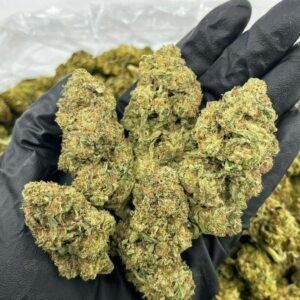 TRĒ House USA premium cannabis flower, TRĒ House USA exotic cannabis strains, TRĒ House USA indoor weed strains, buy cannabis online TRĒ House USA, TRĒ House USA dispensary online USA, TRĒ House USA weed delivery USA, TRĒ House USA discreet cannabis shipping, TRĒ House USA bulk weed deals, TRĒ House USA ounce weed deals, TRĒ House USA pound cannabis deals, TRĒ House USA indica cannabis strains, TRĒ House USA sativa cannabis strains, TRĒ House USA hybrid cannabis strains, TRĒ House USA OG Kush cannabis, TRĒ House USA Gelato cannabis strain, TRĒ House USA Pineapple Express weed, TRĒ House USA Northern Lights strain, TRĒ House USA Sour Diesel strain, TRĒ House USA Gorilla Glue cannabis, TRĒ House USA Diamond OG strain, TRĒ House USA Gas OG cannabis, TRĒ House USA Gary Payton strain, TRĒ House USA Bubblegum cannabis strain, TRĒ House USA Tangerine Dream strain, TRĒ House USA Strawberry Cake strain, TRĒ House USA BlackBerry Gelato strain, TRĒ House USA premium weed buds, TRĒ House USA high potency cannabis, TRĒ House USA top shelf marijuana, TRĒ House USA lab tested weed, TRĒ House USA organic cannabis products, TRĒ House USA THC vape cartridges, TRĒ House USA disposable weed vapes, TRĒ House USA live resin vape carts, TRĒ House USA delta 8 vape cartridges, TRĒ House USA delta 9 THC vapes, TRĒ House USA cannabis vape pens, TRĒ House USA THC gummies, TRĒ House USA cannabis edibles gummies, TRĒ House USA infused edibles, TRĒ House USA THC chocolate edibles, TRĒ House USA cannabis concentrates, TRĒ House USA wax dabs, TRĒ House USA shatter concentrates, TRĒ House USA live resin concentrates, TRĒ House USA rosin cannabis extract, TRĒ House USA CBD products, TRĒ House USA CBD oil tinctures, TRĒ House USA CBD gummies, TRĒ House USA hemp derived THC products, TRĒ House USA cannabis pre rolls, TRĒ House USA infused pre rolls, TRĒ House USA moonrocks cannabis, TRĒ House USA cannabis accessories, TRĒ House USA rolling papers, TRĒ House USA weed grinders, TRĒ House USA glass bongs, TRĒ House USA weed pipes, TRĒ House USA cannabis lifestyle products, TRĒ House USA premium cannabis packaging, TRĒ House USA weed jars packaging, TRĒ House USA cannabis product range, TRĒ House USA online weed shop USA, TRĒ House USA best cannabis online store, TRĒ House USA trusted weed supplier USA, TRĒ House USA affordable cannabis products, TRĒ House USA high quality marijuana USA, TRĒ House USA fast weed shipping USA, TRĒ House USA discreet weed packaging USA, TRĒ House USA cannabis deals online USA, TRĒ House USA buy THC products online USA, Red Skittlez strain TRĒ House premium cannabis flower, buy Red Skittlez strain online TRĒ House, TRĒ House Red Skittlez weed strain for sale, premium hybrid cannabis Red Skittlez TRĒ House, Red Skittlez cannabis flower high quality TRĒ House, order Red Skittlez weed online TRĒ House, Red Skittlez strain top cannabis product TRĒ House, buy premium weed strain Red Skittlez TRĒ House, Red Skittlez cannabis buds close up TRĒ House, Red Skittlez hybrid weed strain online TRĒ House, best Red Skittlez strain to buy TRĒ House, Red Skittlez strain online cannabis shop TRĒ House, Red Skittlez premium weed flower TRĒ House, buy hybrid cannabis Red Skittlez online TRĒ House, Red Skittlez strain for sale online TRĒ House, Red Skittlez cannabis product listing TRĒ House, Red Skittlez strain high demand weed TRĒ House, Red Skittlez premium cannabis selection TRĒ House, Red Skittlez strain ecommerce product TRĒ House, Red Skittlez cannabis flower for buyers TRĒ House, Red Skittlez strain top weed strain online TRĒ House, Red Skittlez hybrid cannabis product page TRĒ House, Red Skittlez cannabis strain shop online TRĒ House, Red Skittlez weed strain popular choice TRĒ House, Red Skittlez premium weed strain for sale TRĒ House, Red Skittlez cannabis buds detailed view TRĒ House, Red Skittlez hybrid strain buy online TRĒ House, Red Skittlez weed strain product image TRĒ House, Red Skittlez cannabis strain listing online TRĒ House, Red Skittlez premium cannabis flower shop TRĒ House, Red Skittlez strain trusted weed product TRĒ House, Red Skittlez cannabis flower high demand TRĒ House, Red Skittlez hybrid weed strain premium TRĒ House, Red Skittlez cannabis strain buy now TRĒ House, Red Skittlez weed strain ecommerce listing TRĒ House, Red Skittlez premium cannabis buds online TRĒ House, Red Skittlez hybrid cannabis strain top rated TRĒ House, Red Skittlez cannabis flower online store TRĒ House, Red Skittlez weed strain product showcase TRĒ House, Red Skittlez cannabis strain best seller TRĒ House, Red Skittlez premium weed online shop TRĒ House, Red Skittlez hybrid cannabis buds for sale TRĒ House, Red Skittlez cannabis strain order online TRĒ House, Red Skittlez weed strain top demand product TRĒ House, Red Skittlez premium cannabis flower listing TRĒ House, Red Skittlez hybrid strain popular weed TRĒ House, Red Skittlez cannabis buds online purchase TRĒ House, Red Skittlez weed strain high quality flower TRĒ House, Red Skittlez cannabis product premium listing TRĒ House, Red Skittlez hybrid weed strain best seller TRĒ House, Red Skittlez cannabis flower shop online TRĒ House, Red Skittlez premium weed strain ecommerce TRĒ House, Red Skittlez cannabis strain product display TRĒ House, Red Skittlez hybrid weed strain for buyers TRĒ House, Red Skittlez cannabis buds premium quality TRĒ House, Red Skittlez strain cannabis online store TRĒ House, Red Skittlez weed strain product catalog TRĒ House, Red Skittlez cannabis strain purchase online TRĒ House, Red Skittlez premium hybrid weed strain TRĒ House, Red Skittlez cannabis flower top selection TRĒ House, Red Skittlez weed strain strong demand TRĒ House, Red Skittlez cannabis product online shop TRĒ House, Red Skittlez hybrid cannabis strain listing TRĒ House, Red Skittlez weed strain premium product page TRĒ House, Red Skittlez cannabis buds online shop TRĒ House, Red Skittlez strain high quality cannabis TRĒ House, Red Skittlez weed strain online purchase TRĒ House, Red Skittlez cannabis flower product image TRĒ House, Red Skittlez premium cannabis strain listing TRĒ House, Red Skittlez hybrid weed strain top choice TRĒ House, Red Skittlez cannabis buds ecommerce store TRĒ House, Red Skittlez weed strain trusted product TRĒ House, Red Skittlez cannabis strain premium quality TRĒ House, Red Skittlez hybrid weed strain online store TRĒ House, buy cannabis strains online, weed strains for sale online, premium cannabis strains TRĒ House, indica cannabis strains menu, sativa cannabis strains selection, hybrid cannabis strains collection, buy indica weed online, buy sativa weed online, buy hybrid cannabis strains online, best cannabis strains online, top weed strains for sale, TRĒ House cannabis menu, cannabis flower strains online, high quality weed strains, popular cannabis strains online, Northern Lights cannabis strain, Gelato Cake weed strain, GMO Cookies cannabis strain, Skywalker OG weed strain, White Tahoe Cookies strain, 9lb Hammer cannabis strain, Wedding Cake weed strain, Granddaddy Purp cannabis strain, Hindu Kush weed strain, Critical Kush cannabis strain, Pineapple Express weed strain, Purple Haze cannabis strain, Jack Herer weed strain, Durban Poison cannabis strain, Strawberry Cough weed strain, Sour Diesel cannabis strain, Green Crack weed strain, Super Silver Haze cannabis strain, Amnesia Haze weed strain, Lemon Haze cannabis strain, Trainwreck weed strain, Tangerine Dream cannabis strain, Runtz cannabis strain, Candyland weed strain, Gorilla Glue cannabis strain, Cherry Pie weed strain, Oreoz cannabis strain, Sundae Driver weed strain, Slurricane cannabis strain, Gushers cannabis strain, Mimosa cannabis strain, Skunk #1 weed strain, Permanent Marker cannabis strain, Bruce Banner #3 weed strain, Blue Gelato 41 cannabis strain, White Widow weed strain, OG Kush cannabis strain, Chiquita Banana weed strain, Orange Sherbet cannabis strain, premium weed menu online, buy weed strains online TRĒ House, cannabis products for sale online, shop cannabis strains online, best indica strains online, best sativa strains online, best hybrid cannabis strains online, top cannabis products online, high demand weed strains, buy cannabis flower online, cannabis strains collection TRĒ House, legal cannabis products online, trusted cannabis store online, cannabis strain variety online, buy premium weed online, cannabis strains marketplace, weed strains catalog online, buy top weed strains online, online cannabis shop TRĒ House, cannabis strains selection online, premium cannabis flower selection, buy cannabis products TRĒ House, best weed strains for beginners, high quality cannabis flower online, cannabis strains ecommerce store,