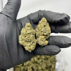 TRĒ House USA premium cannabis flower, TRĒ House USA exotic cannabis strains, TRĒ House USA indoor weed strains, buy cannabis online TRĒ House USA, TRĒ House USA dispensary online USA, TRĒ House USA weed delivery USA, TRĒ House USA discreet cannabis shipping, TRĒ House USA bulk weed deals, TRĒ House USA ounce weed deals, TRĒ House USA pound cannabis deals, TRĒ House USA indica cannabis strains, TRĒ House USA sativa cannabis strains, TRĒ House USA hybrid cannabis strains, TRĒ House USA OG Kush cannabis, TRĒ House USA Gelato cannabis strain, TRĒ House USA Pineapple Express weed, TRĒ House USA Northern Lights strain, TRĒ House USA Sour Diesel strain, TRĒ House USA Gorilla Glue cannabis, TRĒ House USA Diamond OG strain, TRĒ House USA Gas OG cannabis, TRĒ House USA Gary Payton strain, TRĒ House USA Bubblegum cannabis strain, TRĒ House USA Tangerine Dream strain, TRĒ House USA Strawberry Cake strain, TRĒ House USA BlackBerry Gelato strain, TRĒ House USA premium weed buds, TRĒ House USA high potency cannabis, TRĒ House USA top shelf marijuana, TRĒ House USA lab tested weed, TRĒ House USA organic cannabis products, TRĒ House USA THC vape cartridges, TRĒ House USA disposable weed vapes, TRĒ House USA live resin vape carts, TRĒ House USA delta 8 vape cartridges, TRĒ House USA delta 9 THC vapes, TRĒ House USA cannabis vape pens, TRĒ House USA THC gummies, TRĒ House USA cannabis edibles gummies, TRĒ House USA infused edibles, TRĒ House USA THC chocolate edibles, TRĒ House USA cannabis concentrates, TRĒ House USA wax dabs, TRĒ House USA shatter concentrates, TRĒ House USA live resin concentrates, TRĒ House USA rosin cannabis extract, TRĒ House USA CBD products, TRĒ House USA CBD oil tinctures, TRĒ House USA CBD gummies, TRĒ House USA hemp derived THC products, TRĒ House USA cannabis pre rolls, TRĒ House USA infused pre rolls, TRĒ House USA moonrocks cannabis, TRĒ House USA cannabis accessories, TRĒ House USA rolling papers, TRĒ House USA weed grinders, TRĒ House USA glass bongs, TRĒ House USA weed pipes, TRĒ House USA cannabis lifestyle products, TRĒ House USA premium cannabis packaging, TRĒ House USA weed jars packaging, TRĒ House USA cannabis product range, TRĒ House USA online weed shop USA, TRĒ House USA best cannabis online store, TRĒ House USA trusted weed supplier USA, TRĒ House USA affordable cannabis products, TRĒ House USA high quality marijuana USA, TRĒ House USA fast weed shipping USA, TRĒ House USA discreet weed packaging USA, TRĒ House USA cannabis deals online USA, TRĒ House USA buy THC products online USA, Runtz strain TRĒ House premium cannabis flower, buy Runtz strain online TRĒ House, TRĒ House Runtz weed strain for sale, premium hybrid cannabis Runtz TRĒ House, Runtz cannabis flower high quality TRĒ House, order Runtz weed online TRĒ House, Runtz strain top cannabis product TRĒ House, buy premium weed strain Runtz TRĒ House, Runtz cannabis buds close up TRĒ House, Runtz hybrid weed strain online TRĒ House, best Runtz strain to buy TRĒ House, Runtz strain online cannabis shop TRĒ House, Runtz premium weed flower TRĒ House, buy hybrid cannabis Runtz online TRĒ House, Runtz strain for sale online TRĒ House, Runtz cannabis product listing TRĒ House, Runtz strain high demand weed TRĒ House, Runtz premium cannabis selection TRĒ House, Runtz strain ecommerce product TRĒ House, Runtz cannabis flower for buyers TRĒ House, Runtz strain top weed strain online TRĒ House, Runtz hybrid cannabis product page TRĒ House, Runtz cannabis strain shop online TRĒ House, Runtz weed strain popular choice TRĒ House, Runtz premium weed strain for sale TRĒ House, Runtz cannabis buds detailed view TRĒ House, Runtz hybrid strain buy online TRĒ House, Runtz weed strain product image TRĒ House, Runtz cannabis strain listing online TRĒ House, Runtz premium cannabis flower shop TRĒ House, Runtz strain trusted weed product TRĒ House, Runtz cannabis flower high demand TRĒ House, Runtz hybrid weed strain premium TRĒ House, Runtz cannabis strain buy now TRĒ House, Runtz weed strain ecommerce listing TRĒ House, Runtz premium cannabis buds online TRĒ House, Runtz hybrid cannabis strain top rated TRĒ House, Runtz cannabis flower online store TRĒ House, Runtz weed strain product showcase TRĒ House, Runtz cannabis strain best seller TRĒ House, Runtz premium weed online shop TRĒ House, Runtz hybrid cannabis buds for sale TRĒ House, Runtz cannabis strain order online TRĒ House, Runtz weed strain top demand product TRĒ House, Runtz premium cannabis flower listing TRĒ House, Runtz hybrid strain popular weed TRĒ House, Runtz cannabis buds online purchase TRĒ House, Runtz weed strain high quality flower TRĒ House, Runtz cannabis product premium listing TRĒ House, Runtz hybrid weed strain best seller TRĒ House, Runtz cannabis flower shop online TRĒ House, Runtz premium weed strain ecommerce TRĒ House, Runtz cannabis strain product display TRĒ House, Runtz hybrid weed strain for buyers TRĒ House, Runtz cannabis buds premium quality TRĒ House, Runtz strain cannabis online store TRĒ House, Runtz weed strain product catalog TRĒ House, Runtz cannabis strain purchase online TRĒ House, Runtz premium hybrid weed strain TRĒ House, Runtz cannabis flower top selection TRĒ House, Runtz weed strain strong demand TRĒ House, Runtz cannabis product online shop TRĒ House, Runtz hybrid cannabis strain listing TRĒ House, Runtz weed strain premium product page TRĒ House, Runtz cannabis buds online shop TRĒ House, Runtz strain high quality cannabis TRĒ House, Runtz weed strain online purchase TRĒ House, Runtz cannabis flower product image TRĒ House, Runtz premium cannabis strain listing TRĒ House, Runtz hybrid weed strain top choice TRĒ House, Runtz cannabis buds ecommerce store TRĒ House, Runtz weed strain trusted product TRĒ House, Runtz cannabis strain premium quality TRĒ House, Runtz hybrid weed strain online store TRĒ House, buy cannabis strains online, weed strains for sale online, premium cannabis strains TRĒ House, indica cannabis strains menu, sativa cannabis strains selection, hybrid cannabis strains collection, buy indica weed online, buy sativa weed online, buy hybrid cannabis strains online, best cannabis strains online, top weed strains for sale, TRĒ House cannabis menu, cannabis flower strains online, high quality weed strains, popular cannabis strains online, Northern Lights cannabis strain, Gelato Cake weed strain, GMO Cookies cannabis strain, Skywalker OG weed strain, White Tahoe Cookies strain, 9lb Hammer cannabis strain, Wedding Cake weed strain, Granddaddy Purp cannabis strain, Hindu Kush weed strain, Critical Kush cannabis strain, Pineapple Express weed strain, Purple Haze cannabis strain, Jack Herer weed strain, Durban Poison cannabis strain, Strawberry Cough weed strain, Sour Diesel cannabis strain, Green Crack weed strain, Super Silver Haze cannabis strain, Amnesia Haze weed strain, Lemon Haze cannabis strain, Trainwreck weed strain, Tangerine Dream cannabis strain, Runtz cannabis strain, Candyland weed strain, Gorilla Glue cannabis strain, Cherry Pie weed strain, Oreoz cannabis strain, Sundae Driver weed strain, Slurricane cannabis strain, Gushers cannabis strain, Mimosa cannabis strain, Skunk #1 weed strain, Permanent Marker cannabis strain, Bruce Banner #3 weed strain, Blue Gelato 41 cannabis strain, White Widow weed strain, OG Kush cannabis strain, Chiquita Banana weed strain, Orange Sherbet cannabis strain, premium weed menu online, buy weed strains online TRĒ House, cannabis products for sale online, shop cannabis strains online, best indica strains online, best sativa strains online, best hybrid cannabis strains online, top cannabis products online, high demand weed strains, buy cannabis flower online, cannabis strains collection TRĒ House, legal cannabis products online, trusted cannabis store online, cannabis strain variety online, buy premium weed online, cannabis strains marketplace, weed strains catalog online, buy top weed strains online, online cannabis shop TRĒ House, cannabis strains selection online, premium cannabis flower selection, buy cannabis products TRĒ House, best weed strains for beginners, high quality cannabis flower online, cannabis strains ecommerce store,