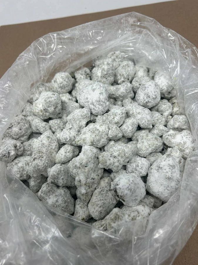 buy cannabis strains online, weed strains for sale online, premium cannabis strains TRĒ House, indica cannabis strains menu, sativa cannabis strains selection, hybrid cannabis strains collection, buy indica weed online, buy sativa weed online, buy hybrid cannabis strains online, best cannabis strains online, top weed strains for sale, TRĒ House cannabis menu, cannabis flower strains online, high quality weed strains, popular cannabis strains online, Northern Lights cannabis strain, Gelato Cake weed strain, GMO Cookies cannabis strain, Skywalker OG weed strain, White Tahoe Cookies strain, 9lb Hammer cannabis strain, Wedding Cake weed strain, Granddaddy Purp cannabis strain, Hindu Kush weed strain, Critical Kush cannabis strain, Pineapple Express weed strain, Purple Haze cannabis strain, Jack Herer weed strain, Durban Poison cannabis strain, Strawberry Cough weed strain, Sour Diesel cannabis strain, Green Crack weed strain, Super Silver Haze cannabis strain, Amnesia Haze weed strain, Lemon Haze cannabis strain, Trainwreck weed strain, Tangerine Dream cannabis strain, Runtz cannabis strain, Candyland weed strain, Gorilla Glue cannabis strain, Cherry Pie weed strain, Oreoz cannabis strain, Sundae Driver weed strain, Slurricane cannabis strain, Gushers cannabis strain, Mimosa cannabis strain, Skunk #1 weed strain, Permanent Marker cannabis strain, Bruce Banner #3 weed strain, Blue Gelato 41 cannabis strain, White Widow weed strain, OG Kush cannabis strain, Chiquita Banana weed strain, Orange Sherbet cannabis strain, premium weed menu online, buy weed strains online TRĒ House, cannabis products for sale online, shop cannabis strains online, best indica strains online, best sativa strains online, best hybrid cannabis strains online, top cannabis products online, high demand weed strains, buy cannabis flower online, cannabis strains collection TRĒ House, legal cannabis products online, trusted cannabis store online, cannabis strain variety online, buy premium weed online, cannabis strains marketplace, weed strains catalog online, buy top weed strains online, online cannabis shop TRĒ House, cannabis strains selection online, premium cannabis flower selection, buy cannabis products TRĒ House, best weed strains for beginners, high quality cannabis flower online, cannabis strains ecommerce store,