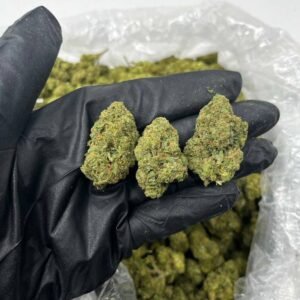 TRĒ House USA premium cannabis flower, TRĒ House USA exotic cannabis strains, TRĒ House USA indoor weed strains, buy cannabis online TRĒ House USA, TRĒ House USA dispensary online USA, TRĒ House USA weed delivery USA, TRĒ House USA discreet cannabis shipping, TRĒ House USA bulk weed deals, TRĒ House USA ounce weed deals, TRĒ House USA pound cannabis deals, TRĒ House USA indica cannabis strains, TRĒ House USA sativa cannabis strains, TRĒ House USA hybrid cannabis strains, TRĒ House USA OG Kush cannabis, TRĒ House USA Gelato cannabis strain, TRĒ House USA Pineapple Express weed, TRĒ House USA Northern Lights strain, TRĒ House USA Sour Diesel strain, TRĒ House USA Gorilla Glue cannabis, TRĒ House USA Diamond OG strain, TRĒ House USA Gas OG cannabis, TRĒ House USA Gary Payton strain, TRĒ House USA Bubblegum cannabis strain, TRĒ House USA Tangerine Dream strain, TRĒ House USA Strawberry Cake strain, TRĒ House USA BlackBerry Gelato strain, TRĒ House USA premium weed buds, TRĒ House USA high potency cannabis, TRĒ House USA top shelf marijuana, TRĒ House USA lab tested weed, TRĒ House USA organic cannabis products, TRĒ House USA THC vape cartridges, TRĒ House USA disposable weed vapes, TRĒ House USA live resin vape carts, TRĒ House USA delta 8 vape cartridges, TRĒ House USA delta 9 THC vapes, TRĒ House USA cannabis vape pens, TRĒ House USA THC gummies, TRĒ House USA cannabis edibles gummies, TRĒ House USA infused edibles, TRĒ House USA THC chocolate edibles, TRĒ House USA cannabis concentrates, TRĒ House USA wax dabs, TRĒ House USA shatter concentrates, TRĒ House USA live resin concentrates, TRĒ House USA rosin cannabis extract, TRĒ House USA CBD products, TRĒ House USA CBD oil tinctures, TRĒ House USA CBD gummies, TRĒ House USA hemp derived THC products, TRĒ House USA cannabis pre rolls, TRĒ House USA infused pre rolls, TRĒ House USA moonrocks cannabis, TRĒ House USA cannabis accessories, TRĒ House USA rolling papers, TRĒ House USA weed grinders, TRĒ House USA glass bongs, TRĒ House USA weed pipes, TRĒ House USA cannabis lifestyle products, TRĒ House USA premium cannabis packaging, TRĒ House USA weed jars packaging, TRĒ House USA cannabis product range, TRĒ House USA online weed shop USA, TRĒ House USA best cannabis online store, TRĒ House USA trusted weed supplier USA, TRĒ House USA affordable cannabis products, TRĒ House USA high quality marijuana USA, TRĒ House USA fast weed shipping USA, TRĒ House USA discreet weed packaging USA, TRĒ House USA cannabis deals online USA, TRĒ House USA buy THC products online USA, Strawberry Cake strain TRĒ House premium cannabis flower, buy Strawberry Cake strain online TRĒ House, TRĒ House Strawberry Cake weed strain for sale, premium hybrid cannabis Strawberry Cake TRĒ House, Strawberry Cake cannabis flower high quality TRĒ House, order Strawberry Cake weed online TRĒ House, Strawberry Cake strain top cannabis product TRĒ House, buy premium weed strain Strawberry Cake TRĒ House, Strawberry Cake cannabis buds close up TRĒ House, Strawberry Cake hybrid weed strain online TRĒ House, best Strawberry Cake strain to buy TRĒ House, Strawberry Cake strain online cannabis shop TRĒ House, Strawberry Cake premium weed flower TRĒ House, buy hybrid cannabis Strawberry Cake online TRĒ House, Strawberry Cake strain for sale online TRĒ House, Strawberry Cake cannabis product listing TRĒ House, Strawberry Cake strain high demand weed TRĒ House, Strawberry Cake premium cannabis selection TRĒ House, Strawberry Cake strain ecommerce product TRĒ House, Strawberry Cake cannabis flower for buyers TRĒ House, Strawberry Cake strain top weed strain online TRĒ House, Strawberry Cake hybrid cannabis product page TRĒ House, Strawberry Cake cannabis strain shop online TRĒ House, Strawberry Cake weed strain popular choice TRĒ House, Strawberry Cake premium weed strain for sale TRĒ House, Strawberry Cake cannabis buds detailed view TRĒ House, Strawberry Cake hybrid strain buy online TRĒ House, Strawberry Cake weed strain product image TRĒ House, Strawberry Cake cannabis strain listing online TRĒ House, Strawberry Cake premium cannabis flower shop TRĒ House, Strawberry Cake strain trusted weed product TRĒ House, Strawberry Cake cannabis flower high demand TRĒ House, Strawberry Cake hybrid weed strain premium TRĒ House, Strawberry Cake cannabis strain buy now TRĒ House, Strawberry Cake weed strain ecommerce listing TRĒ House, Strawberry Cake premium cannabis buds online TRĒ House, Strawberry Cake hybrid cannabis strain top rated TRĒ House, Strawberry Cake cannabis flower online store TRĒ House, Strawberry Cake weed strain product showcase TRĒ House, Strawberry Cake cannabis strain best seller TRĒ House, Strawberry Cake premium weed online shop TRĒ House, Strawberry Cake hybrid cannabis buds for sale TRĒ House, Strawberry Cake cannabis strain order online TRĒ House, Strawberry Cake weed strain top demand product TRĒ House, Strawberry Cake premium cannabis flower listing TRĒ House, Strawberry Cake hybrid strain popular weed TRĒ House, Strawberry Cake cannabis buds online purchase TRĒ House, Strawberry Cake weed strain high quality flower TRĒ House, Strawberry Cake cannabis product premium listing TRĒ House, Strawberry Cake hybrid weed strain best seller TRĒ House, Strawberry Cake cannabis flower shop online TRĒ House, Strawberry Cake premium weed strain ecommerce TRĒ House, Strawberry Cake cannabis strain product display TRĒ House, Strawberry Cake hybrid weed strain for buyers TRĒ House, Strawberry Cake cannabis buds premium quality TRĒ House, Strawberry Cake strain cannabis online store TRĒ House, Strawberry Cake weed strain product catalog TRĒ House, Strawberry Cake cannabis strain purchase online TRĒ House, Strawberry Cake premium hybrid weed strain TRĒ House, Strawberry Cake cannabis flower top selection TRĒ House, Strawberry Cake weed strain strong demand TRĒ House, Strawberry Cake cannabis product online shop TRĒ House, Strawberry Cake hybrid cannabis strain listing TRĒ House, Strawberry Cake weed strain premium product page TRĒ House, Strawberry Cake cannabis buds online shop TRĒ House, Strawberry Cake strain high quality cannabis TRĒ House, Strawberry Cake weed strain online purchase TRĒ House, Strawberry Cake cannabis flower product image TRĒ House, Strawberry Cake premium cannabis strain listing TRĒ House, Strawberry Cake hybrid weed strain top choice TRĒ House, Strawberry Cake cannabis buds ecommerce store TRĒ House, Strawberry Cake weed strain trusted product TRĒ House, Strawberry Cake cannabis strain premium quality TRĒ House, Strawberry Cake hybrid weed strain online store TRĒ House,