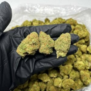 TRĒ House USA premium cannabis flower, TRĒ House USA exotic cannabis strains, TRĒ House USA indoor weed strains, buy cannabis online TRĒ House USA, TRĒ House USA dispensary online USA, TRĒ House USA weed delivery USA, TRĒ House USA discreet cannabis shipping, TRĒ House USA bulk weed deals, TRĒ House USA ounce weed deals, TRĒ House USA pound cannabis deals, TRĒ House USA indica cannabis strains, TRĒ House USA sativa cannabis strains, TRĒ House USA hybrid cannabis strains, TRĒ House USA OG Kush cannabis, TRĒ House USA Gelato cannabis strain, TRĒ House USA Pineapple Express weed, TRĒ House USA Northern Lights strain, TRĒ House USA Sour Diesel strain, TRĒ House USA Gorilla Glue cannabis, TRĒ House USA Diamond OG strain, TRĒ House USA Gas OG cannabis, TRĒ House USA Gary Payton strain, TRĒ House USA Bubblegum cannabis strain, TRĒ House USA Tangerine Dream strain, TRĒ House USA Strawberry Cake strain, TRĒ House USA BlackBerry Gelato strain, TRĒ House USA premium weed buds, TRĒ House USA high potency cannabis, TRĒ House USA top shelf marijuana, TRĒ House USA lab tested weed, TRĒ House USA organic cannabis products, TRĒ House USA THC vape cartridges, TRĒ House USA disposable weed vapes, TRĒ House USA live resin vape carts, TRĒ House USA delta 8 vape cartridges, TRĒ House USA delta 9 THC vapes, TRĒ House USA cannabis vape pens, TRĒ House USA THC gummies, TRĒ House USA cannabis edibles gummies, TRĒ House USA infused edibles, TRĒ House USA THC chocolate edibles, TRĒ House USA cannabis concentrates, TRĒ House USA wax dabs, TRĒ House USA shatter concentrates, TRĒ House USA live resin concentrates, TRĒ House USA rosin cannabis extract, TRĒ House USA CBD products, TRĒ House USA CBD oil tinctures, TRĒ House USA CBD gummies, TRĒ House USA hemp derived THC products, TRĒ House USA cannabis pre rolls, TRĒ House USA infused pre rolls, TRĒ House USA moonrocks cannabis, TRĒ House USA cannabis accessories, TRĒ House USA rolling papers, TRĒ House USA weed grinders, TRĒ House USA glass bongs, TRĒ House USA weed pipes, TRĒ House USA cannabis lifestyle products, TRĒ House USA premium cannabis packaging, TRĒ House USA weed jars packaging, TRĒ House USA cannabis product range, TRĒ House USA online weed shop USA, TRĒ House USA best cannabis online store, TRĒ House USA trusted weed supplier USA, TRĒ House USA affordable cannabis products, TRĒ House USA high quality marijuana USA, TRĒ House USA fast weed shipping USA, TRĒ House USA discreet weed packaging USA, TRĒ House USA cannabis deals online USA, TRĒ House USA buy THC products online USA, Tangerine Dream strain TRĒ House premium cannabis flower, buy Tangerine Dream strain online TRĒ House, TRĒ House Tangerine Dream weed strain for sale, premium sativa cannabis Tangerine Dream TRĒ House, Tangerine Dream cannabis flower high quality TRĒ House, order Tangerine Dream weed online TRĒ House, Tangerine Dream strain top cannabis product TRĒ House, buy premium weed strain Tangerine Dream TRĒ House, Tangerine Dream cannabis buds close up TRĒ House, Tangerine Dream sativa weed strain online TRĒ House, best Tangerine Dream strain to buy TRĒ House, Tangerine Dream strain online cannabis shop TRĒ House, Tangerine Dream premium weed flower TRĒ House, buy sativa cannabis Tangerine Dream online TRĒ House, Tangerine Dream strain for sale online TRĒ House, Tangerine Dream cannabis product listing TRĒ House, Tangerine Dream strain high demand weed TRĒ House, Tangerine Dream premium cannabis selection TRĒ House, Tangerine Dream strain ecommerce product TRĒ House, Tangerine Dream cannabis flower for buyers TRĒ House, Tangerine Dream strain top weed strain online TRĒ House, Tangerine Dream sativa cannabis product page TRĒ House, Tangerine Dream cannabis strain shop online TRĒ House, Tangerine Dream weed strain popular choice TRĒ House, Tangerine Dream premium weed strain for sale TRĒ House, Tangerine Dream cannabis buds detailed view TRĒ House, Tangerine Dream sativa strain buy online TRĒ House, Tangerine Dream weed strain product image TRĒ House, Tangerine Dream cannabis strain listing online TRĒ House, Tangerine Dream premium cannabis flower shop TRĒ House, Tangerine Dream strain trusted weed product TRĒ House, Tangerine Dream cannabis flower high demand TRĒ House, Tangerine Dream sativa weed strain premium TRĒ House, Tangerine Dream cannabis strain buy now TRĒ House, Tangerine Dream weed strain ecommerce listing TRĒ House, Tangerine Dream premium cannabis buds online TRĒ House, Tangerine Dream sativa cannabis strain top rated TRĒ House, Tangerine Dream cannabis flower online store TRĒ House, Tangerine Dream weed strain product showcase TRĒ House, Tangerine Dream cannabis strain best seller TRĒ House, Tangerine Dream premium weed online shop TRĒ House, Tangerine Dream sativa cannabis buds for sale TRĒ House, Tangerine Dream cannabis strain order online TRĒ House, Tangerine Dream weed strain top demand product TRĒ House, Tangerine Dream premium cannabis flower listing TRĒ House, Tangerine Dream sativa strain popular weed TRĒ House, Tangerine Dream cannabis buds online purchase TRĒ House, Tangerine Dream weed strain high quality flower TRĒ House, Tangerine Dream cannabis product premium listing TRĒ House, Tangerine Dream sativa weed strain best seller TRĒ House, Tangerine Dream cannabis flower shop online TRĒ House, Tangerine Dream premium weed strain ecommerce TRĒ House, Tangerine Dream cannabis strain product display TRĒ House, Tangerine Dream sativa weed strain for buyers TRĒ House, Tangerine Dream cannabis buds premium quality TRĒ House, Tangerine Dream strain cannabis online store TRĒ House, Tangerine Dream weed strain product catalog TRĒ House, Tangerine Dream cannabis strain purchase online TRĒ House, Tangerine Dream premium sativa weed strain TRĒ House, Tangerine Dream cannabis flower top selection TRĒ House, Tangerine Dream weed strain strong demand TRĒ House, Tangerine Dream cannabis product online shop TRĒ House, Tangerine Dream sativa cannabis strain listing TRĒ House, Tangerine Dream weed strain premium product page TRĒ House, Tangerine Dream cannabis buds online shop TRĒ House, Tangerine Dream strain high quality cannabis TRĒ House, Tangerine Dream weed strain online purchase TRĒ House, Tangerine Dream cannabis flower product image TRĒ House, Tangerine Dream premium cannabis strain listing TRĒ House, Tangerine Dream sativa weed strain top choice TRĒ House, Tangerine Dream cannabis buds ecommerce store TRĒ House, Tangerine Dream weed strain trusted product TRĒ House, Tangerine Dream cannabis strain premium quality TRĒ House, Tangerine Dream sativa weed strain online store TRĒ House,