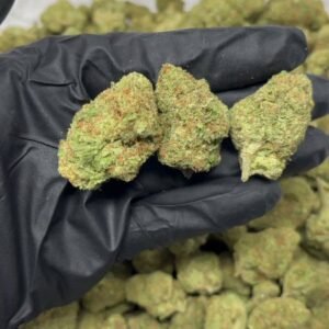 TRĒ House USA premium cannabis flower, TRĒ House USA exotic cannabis strains, TRĒ House USA indoor weed strains, buy cannabis online TRĒ House USA, TRĒ House USA dispensary online USA, TRĒ House USA weed delivery USA, TRĒ House USA discreet cannabis shipping, TRĒ House USA bulk weed deals, TRĒ House USA ounce weed deals, TRĒ House USA pound cannabis deals, TRĒ House USA indica cannabis strains, TRĒ House USA sativa cannabis strains, TRĒ House USA hybrid cannabis strains, TRĒ House USA OG Kush cannabis, TRĒ House USA Gelato cannabis strain, TRĒ House USA Pineapple Express weed, TRĒ House USA Northern Lights strain, TRĒ House USA Sour Diesel strain, TRĒ House USA Gorilla Glue cannabis, TRĒ House USA Diamond OG strain, TRĒ House USA Gas OG cannabis, TRĒ House USA Gary Payton strain, TRĒ House USA Bubblegum cannabis strain, TRĒ House USA Tangerine Dream strain, TRĒ House USA Strawberry Cake strain, TRĒ House USA BlackBerry Gelato strain, TRĒ House USA premium weed buds, TRĒ House USA high potency cannabis, TRĒ House USA top shelf marijuana, TRĒ House USA lab tested weed, TRĒ House USA organic cannabis products, TRĒ House USA THC vape cartridges, TRĒ House USA disposable weed vapes, TRĒ House USA live resin vape carts, TRĒ House USA delta 8 vape cartridges, TRĒ House USA delta 9 THC vapes, TRĒ House USA cannabis vape pens, TRĒ House USA THC gummies, TRĒ House USA cannabis edibles gummies, TRĒ House USA infused edibles, TRĒ House USA THC chocolate edibles, TRĒ House USA cannabis concentrates, TRĒ House USA wax dabs, TRĒ House USA shatter concentrates, TRĒ House USA live resin concentrates, TRĒ House USA rosin cannabis extract, TRĒ House USA CBD products, TRĒ House USA CBD oil tinctures, TRĒ House USA CBD gummies, TRĒ House USA hemp derived THC products, TRĒ House USA cannabis pre rolls, TRĒ House USA infused pre rolls, TRĒ House USA moonrocks cannabis, TRĒ House USA cannabis accessories, TRĒ House USA rolling papers, TRĒ House USA weed grinders, TRĒ House USA glass bongs, TRĒ House USA weed pipes, TRĒ House USA cannabis lifestyle products, TRĒ House USA premium cannabis packaging, TRĒ House USA weed jars packaging, TRĒ House USA cannabis product range, TRĒ House USA online weed shop USA, TRĒ House USA best cannabis online store, TRĒ House USA trusted weed supplier USA, TRĒ House USA affordable cannabis products, TRĒ House USA high quality marijuana USA, TRĒ House USA fast weed shipping USA, TRĒ House USA discreet weed packaging USA, TRĒ House USA cannabis deals online USA, TRĒ House USA buy THC products online USA, Tangerine Dream strain TRĒ House premium cannabis flower, buy Tangerine Dream strain online TRĒ House, TRĒ House Tangerine Dream weed strain for sale, premium sativa cannabis Tangerine Dream TRĒ House, Tangerine Dream cannabis flower high quality TRĒ House, order Tangerine Dream weed online TRĒ House, Tangerine Dream strain top cannabis product TRĒ House, buy premium weed strain Tangerine Dream TRĒ House, Tangerine Dream cannabis buds close up TRĒ House, Tangerine Dream sativa weed strain online TRĒ House, best Tangerine Dream strain to buy TRĒ House, Tangerine Dream strain online cannabis shop TRĒ House, Tangerine Dream premium weed flower TRĒ House, buy sativa cannabis Tangerine Dream online TRĒ House, Tangerine Dream strain for sale online TRĒ House, Tangerine Dream cannabis product listing TRĒ House, Tangerine Dream strain high demand weed TRĒ House, Tangerine Dream premium cannabis selection TRĒ House, Tangerine Dream strain ecommerce product TRĒ House, Tangerine Dream cannabis flower for buyers TRĒ House, Tangerine Dream strain top weed strain online TRĒ House, Tangerine Dream sativa cannabis product page TRĒ House, Tangerine Dream cannabis strain shop online TRĒ House, Tangerine Dream weed strain popular choice TRĒ House, Tangerine Dream premium weed strain for sale TRĒ House, Tangerine Dream cannabis buds detailed view TRĒ House, Tangerine Dream sativa strain buy online TRĒ House, Tangerine Dream weed strain product image TRĒ House, Tangerine Dream cannabis strain listing online TRĒ House, Tangerine Dream premium cannabis flower shop TRĒ House, Tangerine Dream strain trusted weed product TRĒ House, Tangerine Dream cannabis flower high demand TRĒ House, Tangerine Dream sativa weed strain premium TRĒ House, Tangerine Dream cannabis strain buy now TRĒ House, Tangerine Dream weed strain ecommerce listing TRĒ House, Tangerine Dream premium cannabis buds online TRĒ House, Tangerine Dream sativa cannabis strain top rated TRĒ House, Tangerine Dream cannabis flower online store TRĒ House, Tangerine Dream weed strain product showcase TRĒ House, Tangerine Dream cannabis strain best seller TRĒ House, Tangerine Dream premium weed online shop TRĒ House, Tangerine Dream sativa cannabis buds for sale TRĒ House, Tangerine Dream cannabis strain order online TRĒ House, Tangerine Dream weed strain top demand product TRĒ House, Tangerine Dream premium cannabis flower listing TRĒ House, Tangerine Dream sativa strain popular weed TRĒ House, Tangerine Dream cannabis buds online purchase TRĒ House, Tangerine Dream weed strain high quality flower TRĒ House, Tangerine Dream cannabis product premium listing TRĒ House, Tangerine Dream sativa weed strain best seller TRĒ House, Tangerine Dream cannabis flower shop online TRĒ House, Tangerine Dream premium weed strain ecommerce TRĒ House, Tangerine Dream cannabis strain product display TRĒ House, Tangerine Dream sativa weed strain for buyers TRĒ House, Tangerine Dream cannabis buds premium quality TRĒ House, Tangerine Dream strain cannabis online store TRĒ House, Tangerine Dream weed strain product catalog TRĒ House, Tangerine Dream cannabis strain purchase online TRĒ House, Tangerine Dream premium sativa weed strain TRĒ House, Tangerine Dream cannabis flower top selection TRĒ House, Tangerine Dream weed strain strong demand TRĒ House, Tangerine Dream cannabis product online shop TRĒ House, Tangerine Dream sativa cannabis strain listing TRĒ House, Tangerine Dream weed strain premium product page TRĒ House, Tangerine Dream cannabis buds online shop TRĒ House, Tangerine Dream strain high quality cannabis TRĒ House, Tangerine Dream weed strain online purchase TRĒ House, Tangerine Dream cannabis flower product image TRĒ House, Tangerine Dream premium cannabis strain listing TRĒ House, Tangerine Dream sativa weed strain top choice TRĒ House, Tangerine Dream cannabis buds ecommerce store TRĒ House, Tangerine Dream weed strain trusted product TRĒ House, Tangerine Dream cannabis strain premium quality TRĒ House, Tangerine Dream sativa weed strain online store TRĒ House,