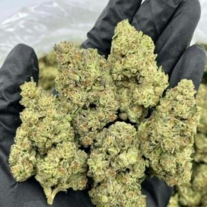 TRĒ House USA premium cannabis flower, TRĒ House USA exotic cannabis strains, TRĒ House USA indoor weed strains, buy cannabis online TRĒ House USA, TRĒ House USA dispensary online USA, TRĒ House USA weed delivery USA, TRĒ House USA discreet cannabis shipping, TRĒ House USA bulk weed deals, TRĒ House USA ounce weed deals, TRĒ House USA pound cannabis deals, TRĒ House USA indica cannabis strains, TRĒ House USA sativa cannabis strains, TRĒ House USA hybrid cannabis strains, TRĒ House USA OG Kush cannabis, TRĒ House USA Gelato cannabis strain, TRĒ House USA Pineapple Express weed, TRĒ House USA Northern Lights strain, TRĒ House USA Sour Diesel strain, TRĒ House USA Gorilla Glue cannabis, TRĒ House USA Diamond OG strain, TRĒ House USA Gas OG cannabis, TRĒ House USA Gary Payton strain, TRĒ House USA Bubblegum cannabis strain, TRĒ House USA Tangerine Dream strain, TRĒ House USA Strawberry Cake strain, TRĒ House USA BlackBerry Gelato strain, TRĒ House USA premium weed buds, TRĒ House USA high potency cannabis, TRĒ House USA top shelf marijuana, TRĒ House USA lab tested weed, TRĒ House USA organic cannabis products, TRĒ House USA THC vape cartridges, TRĒ House USA disposable weed vapes, TRĒ House USA live resin vape carts, TRĒ House USA delta 8 vape cartridges, TRĒ House USA delta 9 THC vapes, TRĒ House USA cannabis vape pens, TRĒ House USA THC gummies, TRĒ House USA cannabis edibles gummies, TRĒ House USA infused edibles, TRĒ House USA THC chocolate edibles, TRĒ House USA cannabis concentrates, TRĒ House USA wax dabs, TRĒ House USA shatter concentrates, TRĒ House USA live resin concentrates, TRĒ House USA rosin cannabis extract, TRĒ House USA CBD products, TRĒ House USA CBD oil tinctures, TRĒ House USA CBD gummies, TRĒ House USA hemp derived THC products, TRĒ House USA cannabis pre rolls, TRĒ House USA infused pre rolls, TRĒ House USA moonrocks cannabis, TRĒ House USA cannabis accessories, TRĒ House USA rolling papers, TRĒ House USA weed grinders, TRĒ House USA glass bongs, TRĒ House USA weed pipes, TRĒ House USA cannabis lifestyle products, TRĒ House USA premium cannabis packaging, TRĒ House USA weed jars packaging, TRĒ House USA cannabis product range, TRĒ House USA online weed shop USA, TRĒ House USA best cannabis online store, TRĒ House USA trusted weed supplier USA, TRĒ House USA affordable cannabis products, TRĒ House USA high quality marijuana USA, TRĒ House USA fast weed shipping USA, TRĒ House USA discreet weed packaging USA, TRĒ House USA cannabis deals online USA, TRĒ House USA buy THC products online USA, Trainwreck strain TRĒ House premium cannabis flower, buy Trainwreck strain online TRĒ House, TRĒ House Trainwreck weed strain for sale, premium sativa cannabis Trainwreck TRĒ House, Trainwreck cannabis flower high quality TRĒ House, order Trainwreck weed online TRĒ House, Trainwreck strain top cannabis product TRĒ House, buy premium weed strain Trainwreck TRĒ House, Trainwreck cannabis buds close up TRĒ House, Trainwreck sativa weed strain online TRĒ House, best Trainwreck strain to buy TRĒ House, Trainwreck strain online cannabis shop TRĒ House, Trainwreck premium weed flower TRĒ House, buy sativa cannabis Trainwreck online TRĒ House, Trainwreck strain for sale online TRĒ House, Trainwreck cannabis product listing TRĒ House, Trainwreck strain high demand weed TRĒ House, Trainwreck premium cannabis selection TRĒ House, Trainwreck strain ecommerce product TRĒ House, Trainwreck cannabis flower for buyers TRĒ House, Trainwreck strain top weed strain online TRĒ House, Trainwreck sativa cannabis product page TRĒ House, Trainwreck cannabis strain shop online TRĒ House, Trainwreck weed strain popular choice TRĒ House, Trainwreck premium weed strain for sale TRĒ House, Trainwreck cannabis buds detailed view TRĒ House, Trainwreck sativa strain buy online TRĒ House, Trainwreck weed strain product image TRĒ House, Trainwreck cannabis strain listing online TRĒ House, Trainwreck premium cannabis flower shop TRĒ House, Trainwreck strain trusted weed product TRĒ House, Trainwreck cannabis flower high demand TRĒ House, Trainwreck sativa weed strain premium TRĒ House, Trainwreck cannabis strain buy now TRĒ House, Trainwreck weed strain ecommerce listing TRĒ House, Trainwreck premium cannabis buds online TRĒ House, Trainwreck sativa cannabis strain top rated TRĒ House, Trainwreck cannabis flower online store TRĒ House, Trainwreck weed strain product showcase TRĒ House, Trainwreck cannabis strain best seller TRĒ House, Trainwreck premium weed online shop TRĒ House, Trainwreck sativa cannabis buds for sale TRĒ House, Trainwreck cannabis strain order online TRĒ House, Trainwreck weed strain top demand product TRĒ House, Trainwreck premium cannabis flower listing TRĒ House, Trainwreck sativa strain popular weed TRĒ House, Trainwreck cannabis buds online purchase TRĒ House, Trainwreck weed strain high quality flower TRĒ House, Trainwreck cannabis product premium listing TRĒ House, Trainwreck sativa weed strain best seller TRĒ House, Trainwreck cannabis flower shop online TRĒ House, Trainwreck premium weed strain ecommerce TRĒ House, Trainwreck cannabis strain product display TRĒ House, Trainwreck sativa weed strain for buyers TRĒ House, Trainwreck cannabis buds premium quality TRĒ House, Trainwreck strain cannabis online store TRĒ House, Trainwreck weed strain product catalog TRĒ House, Trainwreck cannabis strain purchase online TRĒ House, Trainwreck premium sativa weed strain TRĒ House, Trainwreck cannabis flower top selection TRĒ House, Trainwreck weed strain strong demand TRĒ House, Trainwreck cannabis product online shop TRĒ House, Trainwreck sativa cannabis strain listing TRĒ House, Trainwreck weed strain premium product page TRĒ House, Trainwreck cannabis buds online shop TRĒ House, Trainwreck strain high quality cannabis TRĒ House, Trainwreck weed strain online purchase TRĒ House, Trainwreck cannabis flower product image TRĒ House, Trainwreck premium cannabis strain listing TRĒ House, Trainwreck sativa weed strain top choice TRĒ House, Trainwreck cannabis buds ecommerce store TRĒ House, Trainwreck weed strain trusted product TRĒ House, Trainwreck cannabis strain premium quality TRĒ House, Trainwreck sativa weed strain online store TRĒ House, buy cannabis strains online, weed strains for sale online, premium cannabis strains TRĒ House, indica cannabis strains menu, sativa cannabis strains selection, hybrid cannabis strains collection, buy indica weed online, buy sativa weed online, buy hybrid cannabis strains online, best cannabis strains online, top weed strains for sale, TRĒ House cannabis menu, cannabis flower strains online, high quality weed strains, popular cannabis strains online, Northern Lights cannabis strain, Gelato Cake weed strain, GMO Cookies cannabis strain, Skywalker OG weed strain, White Tahoe Cookies strain, 9lb Hammer cannabis strain, Wedding Cake weed strain, Granddaddy Purp cannabis strain, Hindu Kush weed strain, Critical Kush cannabis strain, Pineapple Express weed strain, Purple Haze cannabis strain, Jack Herer weed strain, Durban Poison cannabis strain, Strawberry Cough weed strain, Sour Diesel cannabis strain, Green Crack weed strain, Super Silver Haze cannabis strain, Amnesia Haze weed strain, Lemon Haze cannabis strain, Trainwreck weed strain, Tangerine Dream cannabis strain, Runtz cannabis strain, Candyland weed strain, Gorilla Glue cannabis strain, Cherry Pie weed strain, Oreoz cannabis strain, Sundae Driver weed strain, Slurricane cannabis strain, Gushers cannabis strain, Mimosa cannabis strain, Skunk #1 weed strain, Permanent Marker cannabis strain, Bruce Banner #3 weed strain, Blue Gelato 41 cannabis strain, White Widow weed strain, OG Kush cannabis strain, Chiquita Banana weed strain, Orange Sherbet cannabis strain, premium weed menu online, buy weed strains online TRĒ House, cannabis products for sale online, shop cannabis strains online, best indica strains online, best sativa strains online, best hybrid cannabis strains online, top cannabis products online, high demand weed strains, buy cannabis flower online, cannabis strains collection TRĒ House, legal cannabis products online, trusted cannabis store online, cannabis strain variety online, buy premium weed online, cannabis strains marketplace, weed strains catalog online, buy top weed strains online, online cannabis shop TRĒ House, cannabis strains selection online, premium cannabis flower selection, buy cannabis products TRĒ House, best weed strains for beginners, high quality cannabis flower online, cannabis strains ecommerce store,