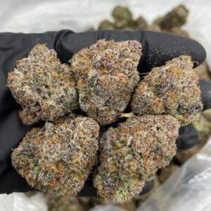 TRĒ House USA premium cannabis flower, TRĒ House USA exotic cannabis strains, TRĒ House USA indoor weed strains, buy cannabis online TRĒ House USA, TRĒ House USA dispensary online USA, TRĒ House USA weed delivery USA, TRĒ House USA discreet cannabis shipping, TRĒ House USA bulk weed deals, TRĒ House USA ounce weed deals, TRĒ House USA pound cannabis deals, TRĒ House USA indica cannabis strains, TRĒ House USA sativa cannabis strains, TRĒ House USA hybrid cannabis strains, TRĒ House USA OG Kush cannabis, TRĒ House USA Gelato cannabis strain, TRĒ House USA Pineapple Express weed, TRĒ House USA Northern Lights strain, TRĒ House USA Sour Diesel strain, TRĒ House USA Gorilla Glue cannabis, TRĒ House USA Diamond OG strain, TRĒ House USA Gas OG cannabis, TRĒ House USA Gary Payton strain, TRĒ House USA Bubblegum cannabis strain, TRĒ House USA Tangerine Dream strain, TRĒ House USA Strawberry Cake strain, TRĒ House USA BlackBerry Gelato strain, TRĒ House USA premium weed buds, TRĒ House USA high potency cannabis, TRĒ House USA top shelf marijuana, TRĒ House USA lab tested weed, TRĒ House USA organic cannabis products, TRĒ House USA THC vape cartridges, TRĒ House USA disposable weed vapes, TRĒ House USA live resin vape carts, TRĒ House USA delta 8 vape cartridges, TRĒ House USA delta 9 THC vapes, TRĒ House USA cannabis vape pens, TRĒ House USA THC gummies, TRĒ House USA cannabis edibles gummies, TRĒ House USA infused edibles, TRĒ House USA THC chocolate edibles, TRĒ House USA cannabis concentrates, TRĒ House USA wax dabs, TRĒ House USA shatter concentrates, TRĒ House USA live resin concentrates, TRĒ House USA rosin cannabis extract, TRĒ House USA CBD products, TRĒ House USA CBD oil tinctures, TRĒ House USA CBD gummies, TRĒ House USA hemp derived THC products, TRĒ House USA cannabis pre rolls, TRĒ House USA infused pre rolls, TRĒ House USA moonrocks cannabis, TRĒ House USA cannabis accessories, TRĒ House USA rolling papers, TRĒ House USA weed grinders, TRĒ House USA glass bongs, TRĒ House USA weed pipes, TRĒ House USA cannabis lifestyle products, TRĒ House USA premium cannabis packaging, TRĒ House USA weed jars packaging, TRĒ House USA cannabis product range, TRĒ House USA online weed shop USA, TRĒ House USA best cannabis online store, TRĒ House USA trusted weed supplier USA, TRĒ House USA affordable cannabis products, TRĒ House USA high quality marijuana USA, TRĒ House USA fast weed shipping USA, TRĒ House USA discreet weed packaging USA, TRĒ House USA cannabis deals online USA, TRĒ House USA buy THC products online USA, Watermelon Runtz strain TRĒ House premium cannabis flower, buy Watermelon Runtz strain online TRĒ House, TRĒ House Watermelon Runtz weed strain for sale, premium hybrid cannabis Watermelon Runtz TRĒ House, Watermelon Runtz cannabis flower high quality TRĒ House, order Watermelon Runtz weed online TRĒ House, Watermelon Runtz strain top cannabis product TRĒ House, buy premium weed strain Watermelon Runtz TRĒ House, Watermelon Runtz cannabis buds close up TRĒ House, Watermelon Runtz hybrid weed strain online TRĒ House, best Watermelon Runtz strain to buy TRĒ House, Watermelon Runtz strain online cannabis shop TRĒ House, Watermelon Runtz premium weed flower TRĒ House, buy hybrid cannabis Watermelon Runtz online TRĒ House, Watermelon Runtz strain for sale online TRĒ House, Watermelon Runtz cannabis product listing TRĒ House, Watermelon Runtz strain high demand weed TRĒ House, Watermelon Runtz premium cannabis selection TRĒ House, Watermelon Runtz strain ecommerce product TRĒ House, Watermelon Runtz cannabis flower for buyers TRĒ House, Watermelon Runtz strain top weed strain online TRĒ House, Watermelon Runtz hybrid cannabis product page TRĒ House, Watermelon Runtz cannabis strain shop online TRĒ House, Watermelon Runtz weed strain popular choice TRĒ House, Watermelon Runtz premium weed strain for sale TRĒ House, Watermelon Runtz cannabis buds detailed view TRĒ House, Watermelon Runtz hybrid strain buy online TRĒ House, Watermelon Runtz weed strain product image TRĒ House, Watermelon Runtz cannabis strain listing online TRĒ House, Watermelon Runtz premium cannabis flower shop TRĒ House, Watermelon Runtz strain trusted weed product TRĒ House, Watermelon Runtz cannabis flower high demand TRĒ House, Watermelon Runtz hybrid weed strain premium TRĒ House, Watermelon Runtz cannabis strain buy now TRĒ House, Watermelon Runtz weed strain ecommerce listing TRĒ House, Watermelon Runtz premium cannabis buds online TRĒ House, Watermelon Runtz hybrid cannabis strain top rated TRĒ House, Watermelon Runtz cannabis flower online store TRĒ House, Watermelon Runtz weed strain product showcase TRĒ House, Watermelon Runtz cannabis strain best seller TRĒ House, Watermelon Runtz premium weed online shop TRĒ House, Watermelon Runtz hybrid cannabis buds for sale TRĒ House, Watermelon Runtz cannabis strain order online TRĒ House, Watermelon Runtz weed strain top demand product TRĒ House, Watermelon Runtz premium cannabis flower listing TRĒ House, Watermelon Runtz hybrid strain popular weed TRĒ House, Watermelon Runtz cannabis buds online purchase TRĒ House, Watermelon Runtz weed strain high quality flower TRĒ House, Watermelon Runtz cannabis product premium listing TRĒ House, Watermelon Runtz hybrid weed strain best seller TRĒ House, Watermelon Runtz cannabis flower shop online TRĒ House, Watermelon Runtz premium weed strain ecommerce TRĒ House, Watermelon Runtz cannabis strain product display TRĒ House, Watermelon Runtz hybrid weed strain for buyers TRĒ House, Watermelon Runtz cannabis buds premium quality TRĒ House, Watermelon Runtz strain cannabis online store TRĒ House, Watermelon Runtz weed strain product catalog TRĒ House, Watermelon Runtz cannabis strain purchase online TRĒ House, Watermelon Runtz premium hybrid weed strain TRĒ House, Watermelon Runtz cannabis flower top selection TRĒ House, Watermelon Runtz weed strain strong demand TRĒ House, Watermelon Runtz cannabis product online shop TRĒ House, Watermelon Runtz hybrid cannabis strain listing TRĒ House, Watermelon Runtz weed strain premium product page TRĒ House, Watermelon Runtz cannabis buds online shop TRĒ House, Watermelon Runtz strain high quality cannabis TRĒ House, Watermelon Runtz weed strain online purchase TRĒ House, Watermelon Runtz cannabis flower product image TRĒ House, Watermelon Runtz premium cannabis strain listing TRĒ House, Watermelon Runtz hybrid weed strain top choice TRĒ House, Watermelon Runtz cannabis buds ecommerce store TRĒ House, Watermelon Runtz weed strain trusted product TRĒ House, Watermelon Runtz cannabis strain premium quality TRĒ House, Watermelon Runtz hybrid weed strain online store TRĒ House, buy cannabis strains online, weed strains for sale online, premium cannabis strains TRĒ House, indica cannabis strains menu, sativa cannabis strains selection, hybrid cannabis strains collection, buy indica weed online, buy sativa weed online, buy hybrid cannabis strains online, best cannabis strains online, top weed strains for sale, TRĒ House cannabis menu, cannabis flower strains online, high quality weed strains, popular cannabis strains online, Northern Lights cannabis strain, Gelato Cake weed strain, GMO Cookies cannabis strain, Skywalker OG weed strain, White Tahoe Cookies strain, 9lb Hammer cannabis strain, Wedding Cake weed strain, Granddaddy Purp cannabis strain, Hindu Kush weed strain, Critical Kush cannabis strain, Pineapple Express weed strain, Purple Haze cannabis strain, Jack Herer weed strain, Durban Poison cannabis strain, Strawberry Cough weed strain, Sour Diesel cannabis strain, Green Crack weed strain, Super Silver Haze cannabis strain, Amnesia Haze weed strain, Lemon Haze cannabis strain, Trainwreck weed strain, Tangerine Dream cannabis strain, Runtz cannabis strain, Candyland weed strain, Gorilla Glue cannabis strain, Cherry Pie weed strain, Oreoz cannabis strain, Sundae Driver weed strain, Slurricane cannabis strain, Gushers cannabis strain, Mimosa cannabis strain, Skunk #1 weed strain, Permanent Marker cannabis strain, Bruce Banner #3 weed strain, Blue Gelato 41 cannabis strain, White Widow weed strain, OG Kush cannabis strain, Chiquita Banana weed strain, Orange Sherbet cannabis strain, premium weed menu online, buy weed strains online TRĒ House, cannabis products for sale online, shop cannabis strains online, best indica strains online, best sativa strains online, best hybrid cannabis strains online, top cannabis products online, high demand weed strains, buy cannabis flower online, cannabis strains collection TRĒ House, legal cannabis products online, trusted cannabis store online, cannabis strain variety online, buy premium weed online, cannabis strains marketplace, weed strains catalog online, buy top weed strains online, online cannabis shop TRĒ House, cannabis strains selection online, premium cannabis flower selection, buy cannabis products TRĒ House, best weed strains for beginners, high quality cannabis flower online, cannabis strains ecommerce store,